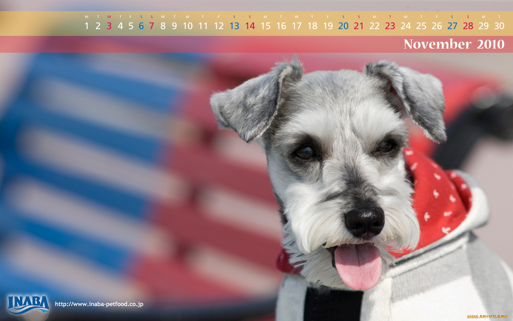 календари, животные