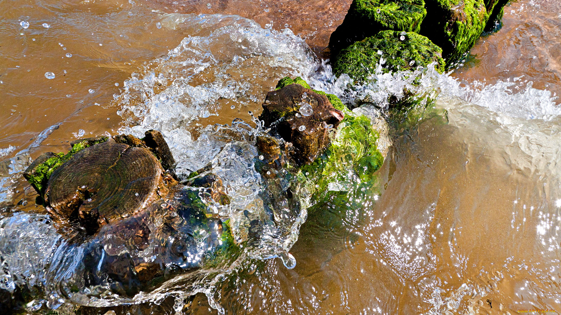 природа, вода