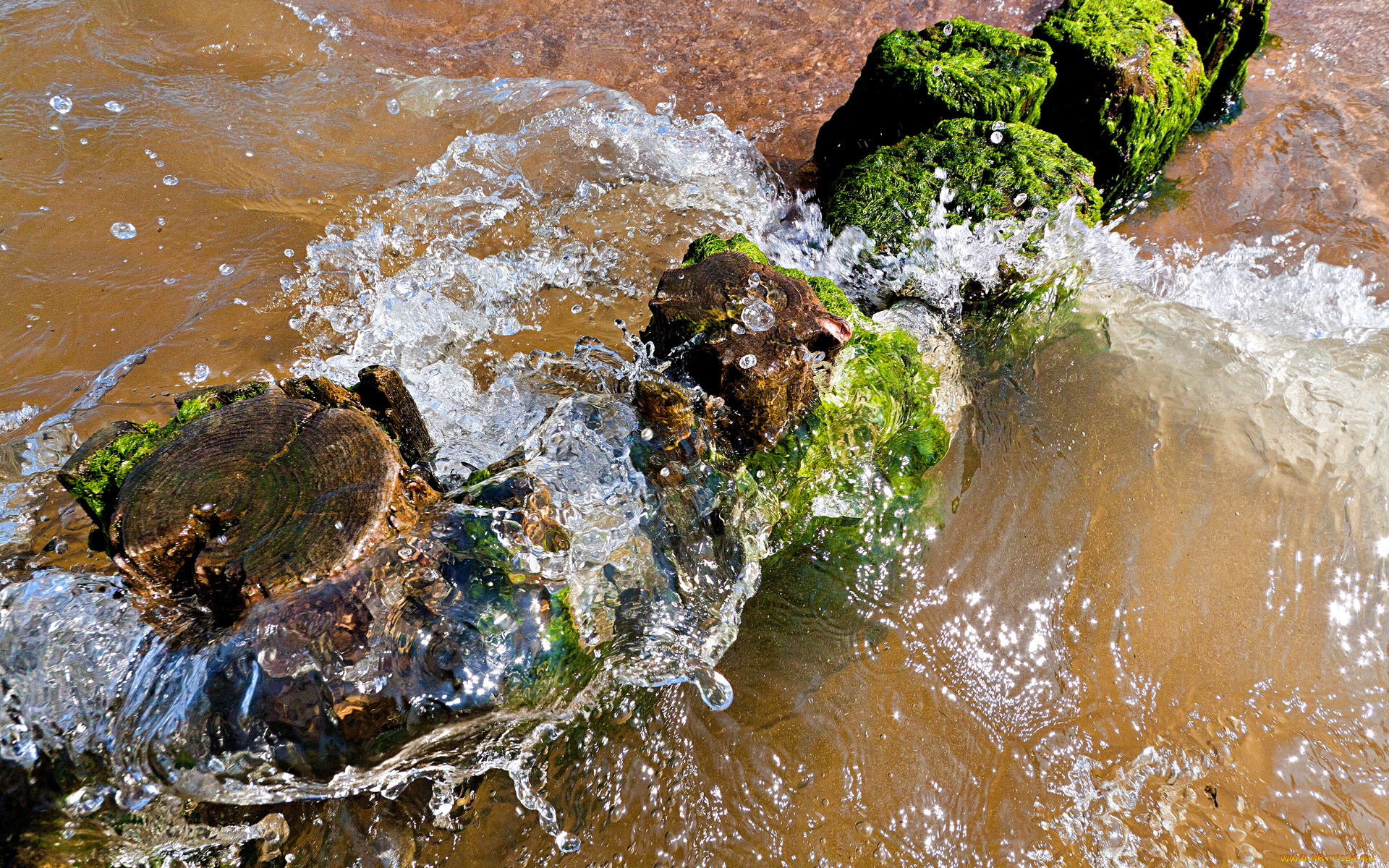 природа, вода