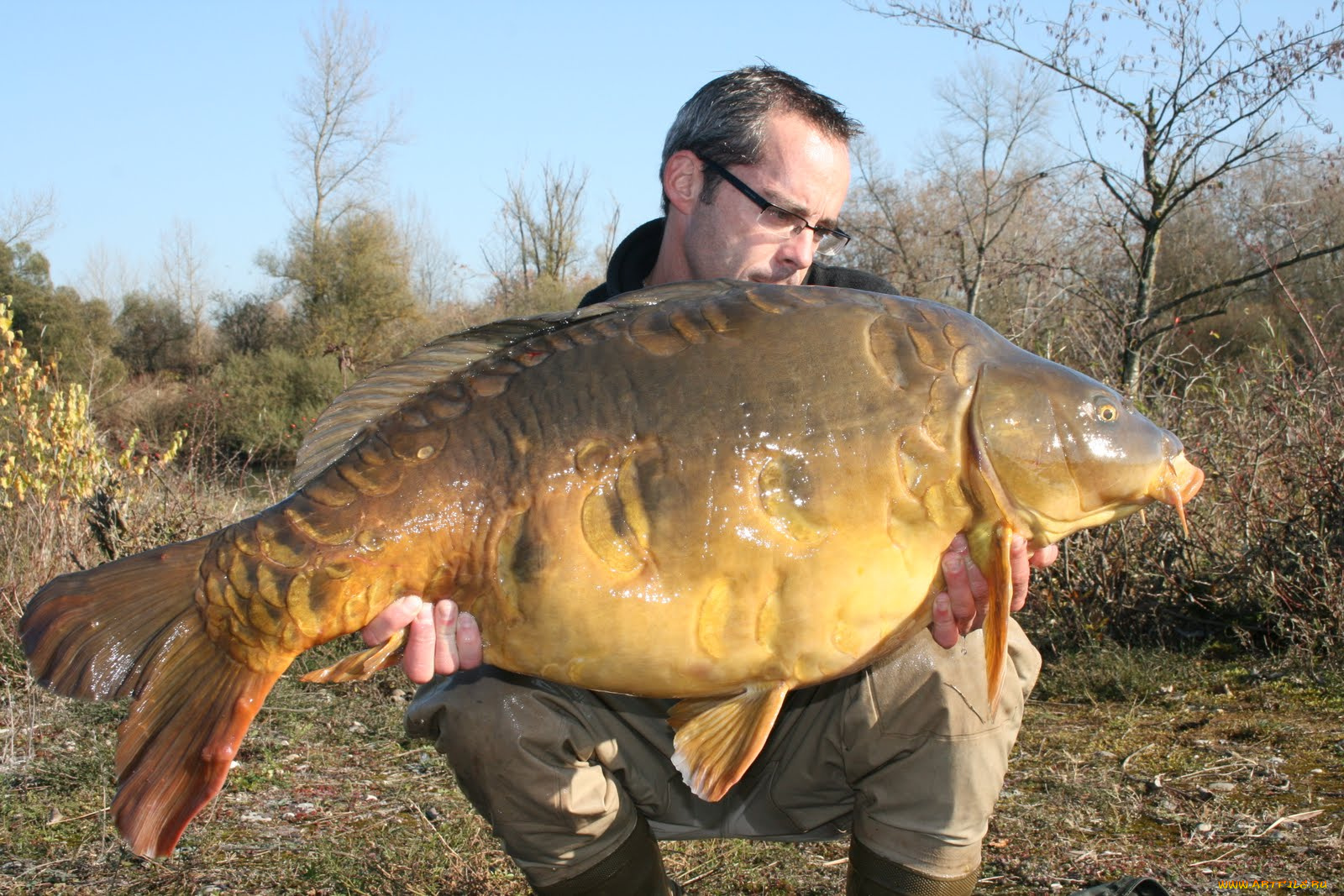 животные, рыбы, рыба, улов