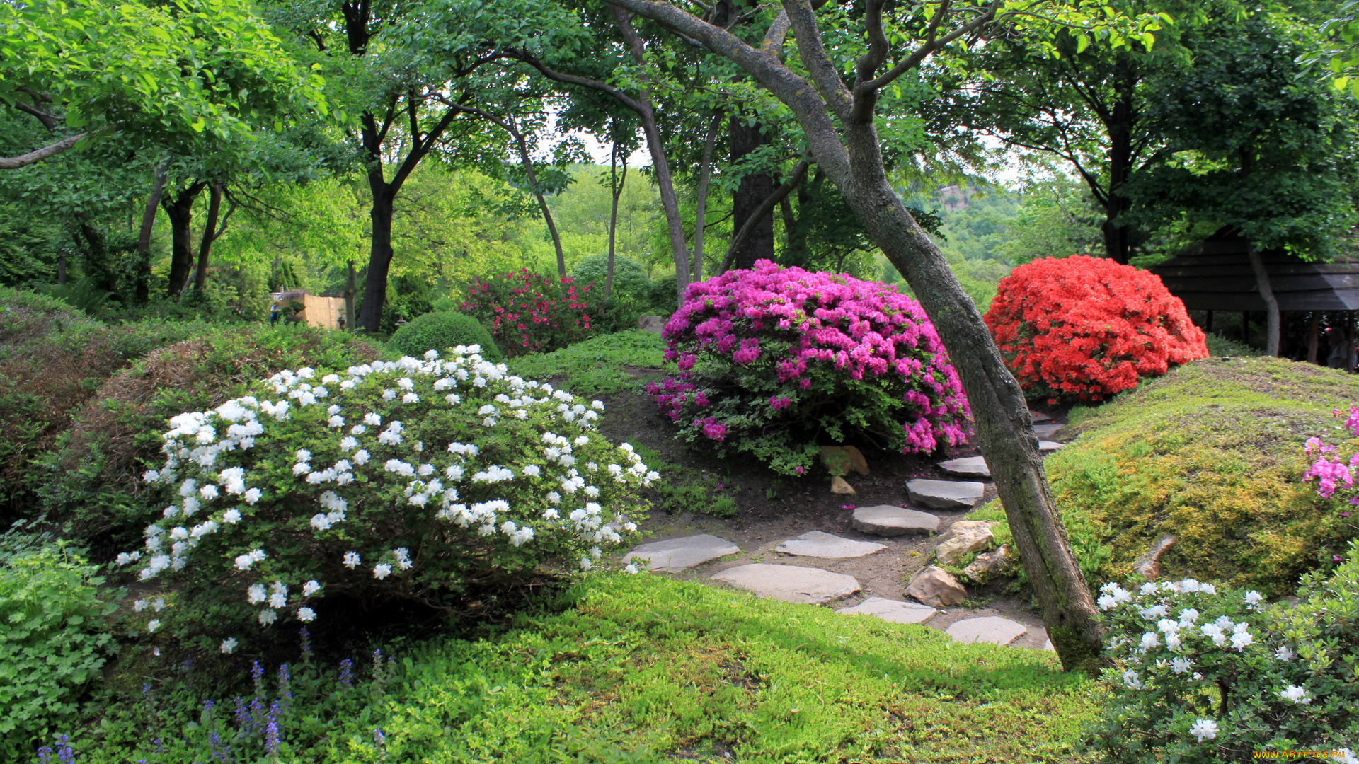 Чехия, прага, ботанический, сад, природа, парк