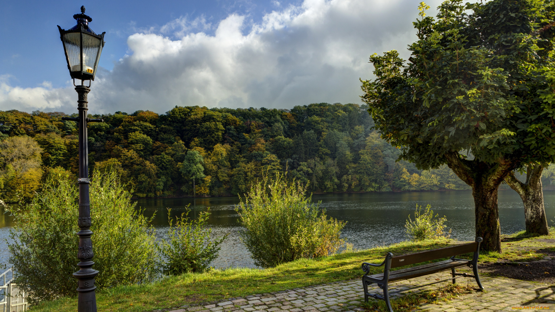 германия, ульмен, природа, парк, река, берег, скамейка