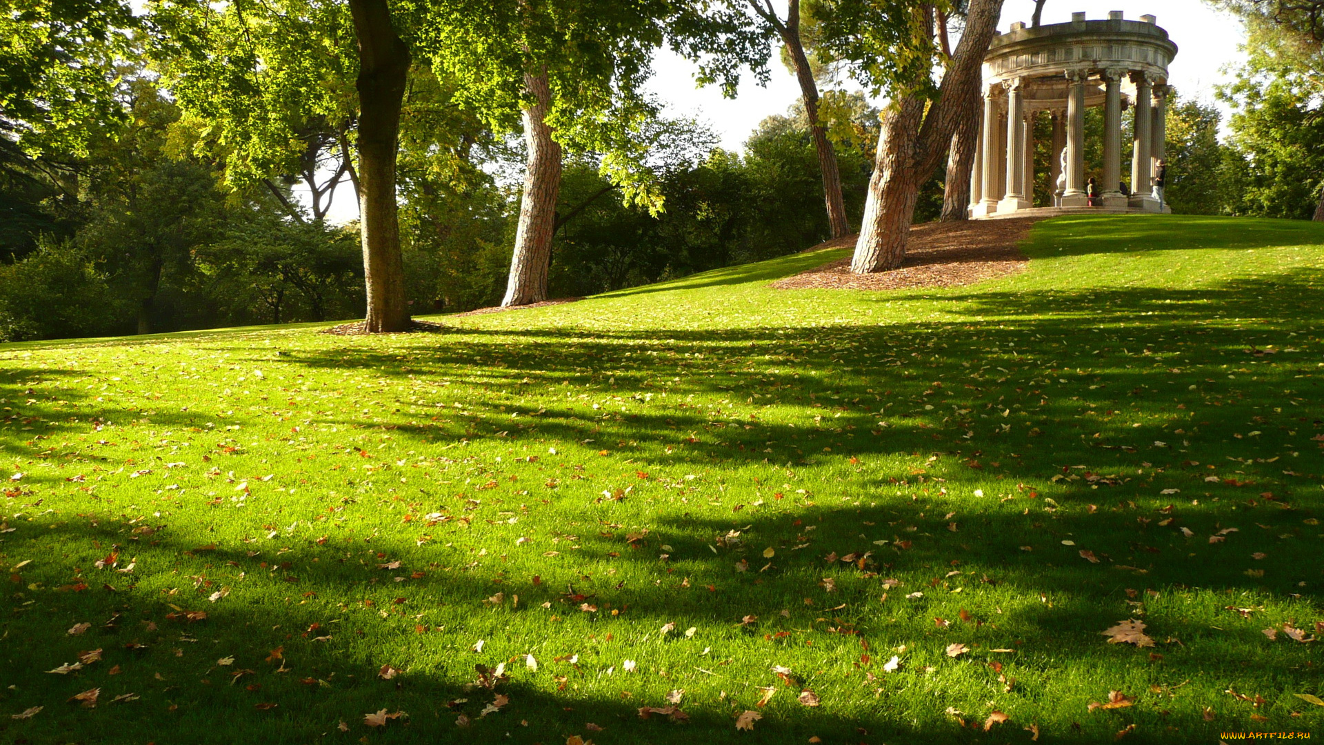 испания, мадрид, природа, парк