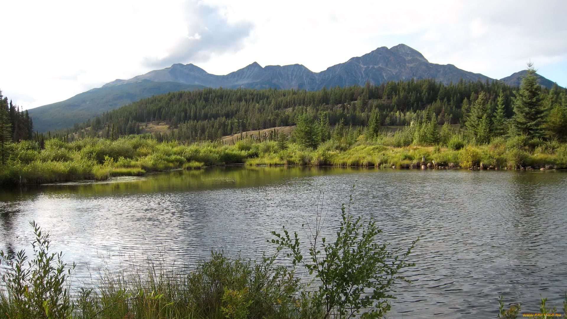 jasper, national, park, canada, природа, реки, озера, горы, река, парк