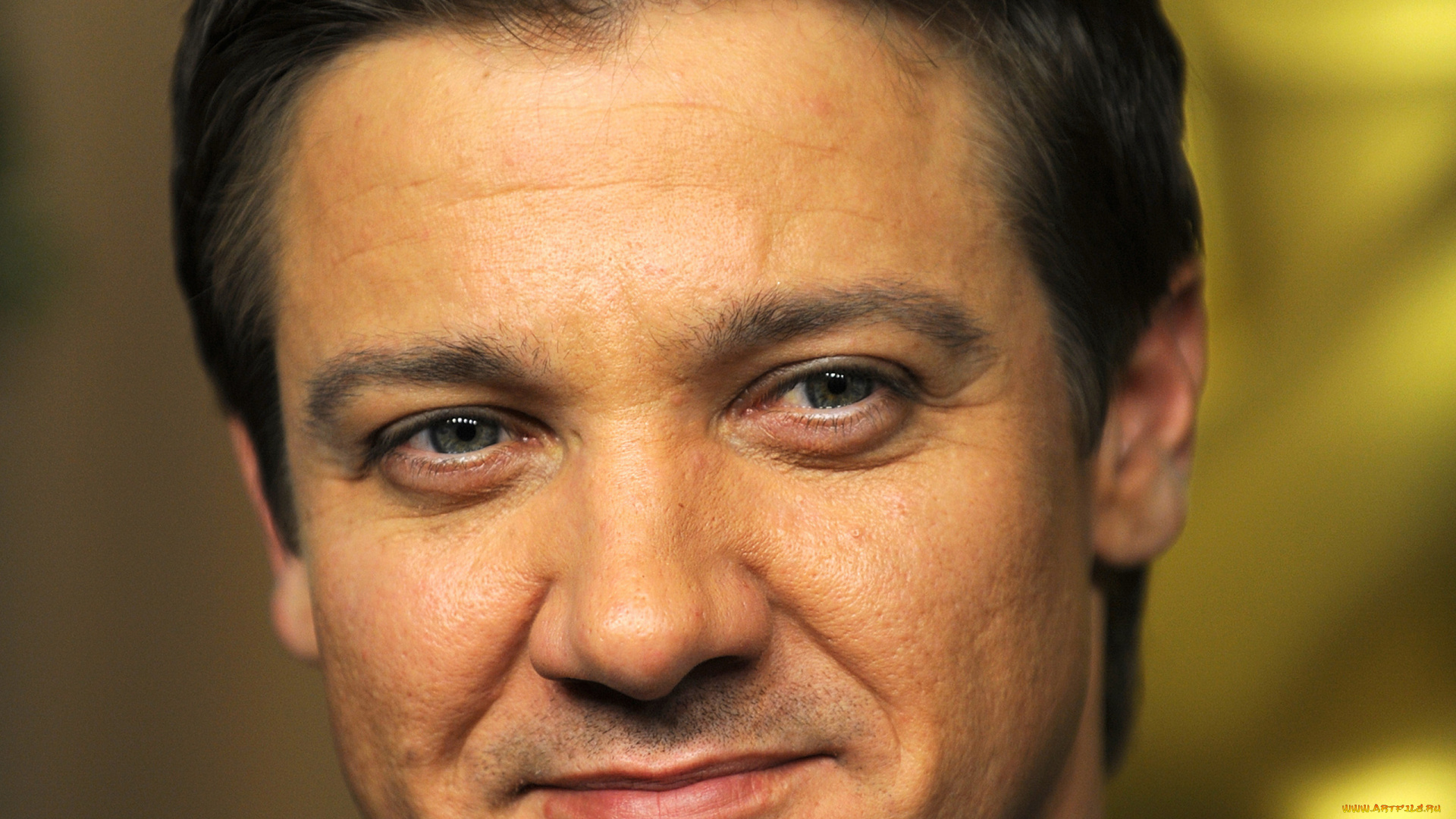 jeremy, renner, мужчины, джереми, реннер, киноактер