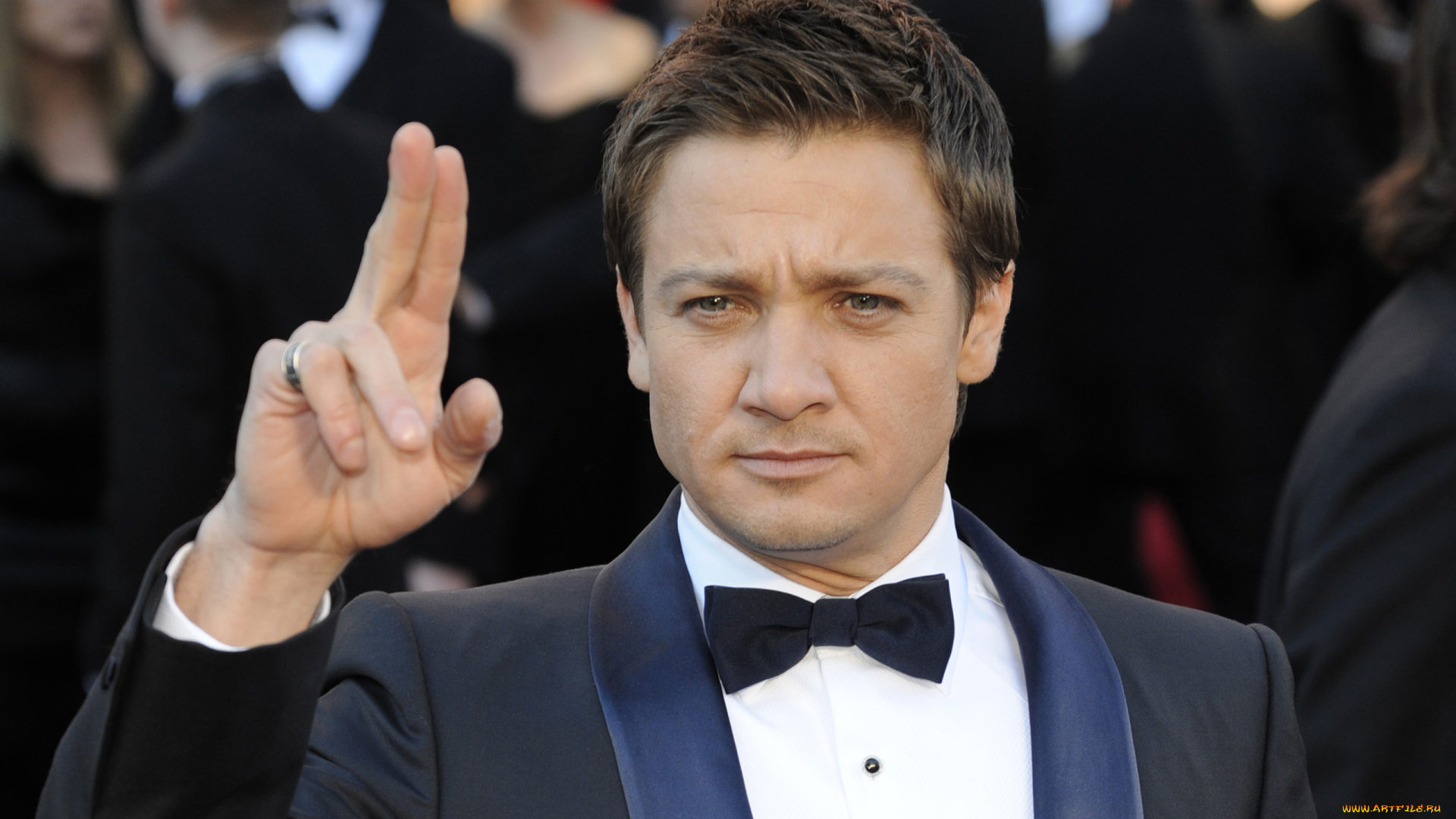 jeremy, renner, мужчины, киноактер, джереми, реннер