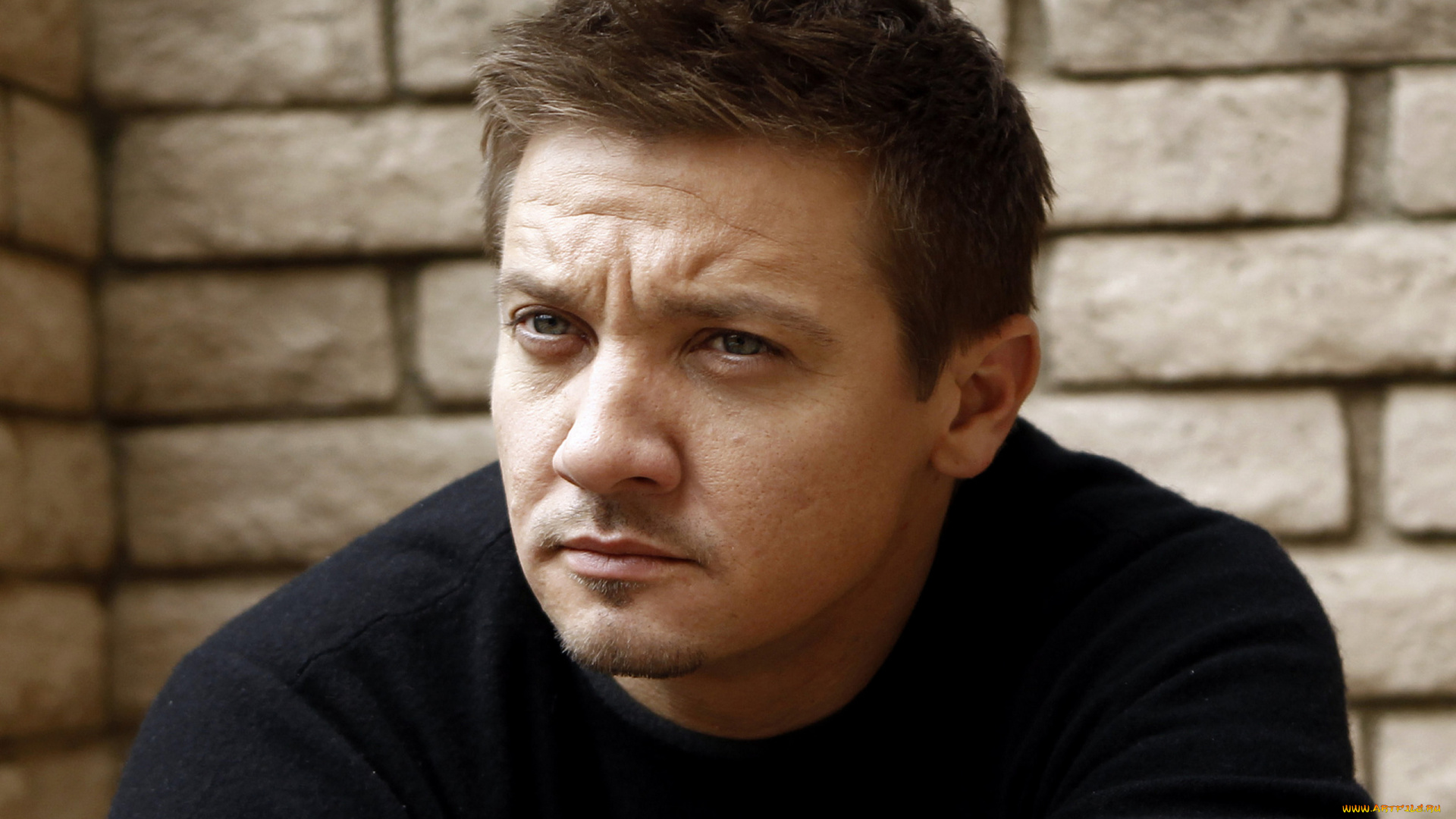 jeremy, renner, мужчины, киноактер, джереми, реннер