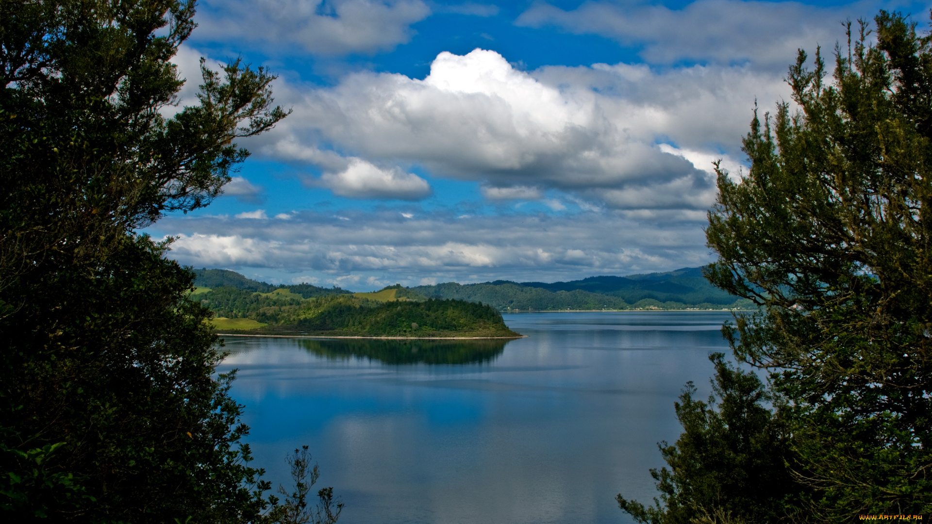 lake, rotoma, new, zealand, rotorua, природа, реки, озера, озеро