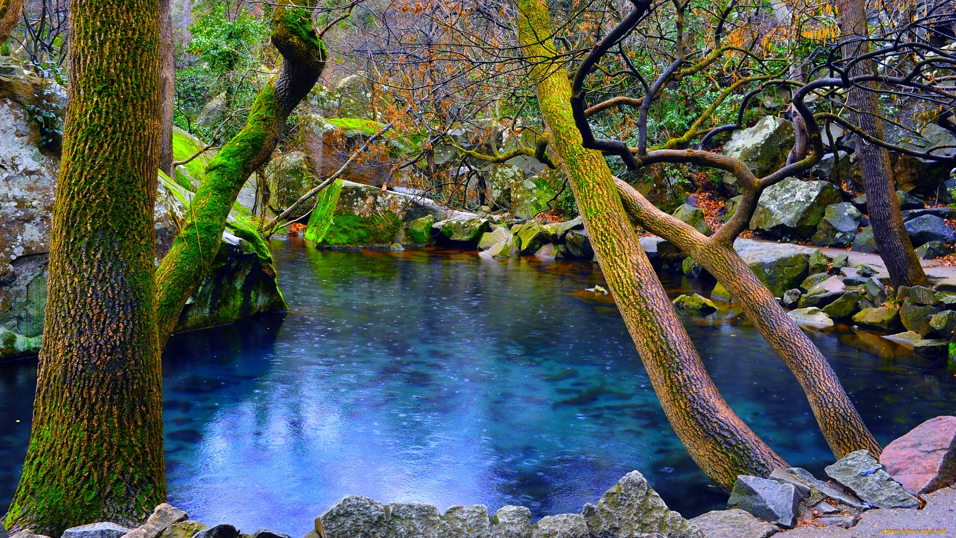 природа, реки, озера, река, лес, камни