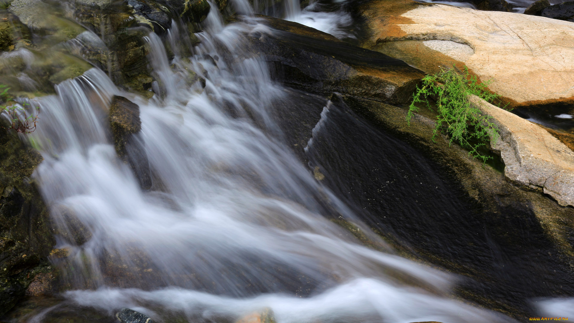 природа, реки, озера, ручей