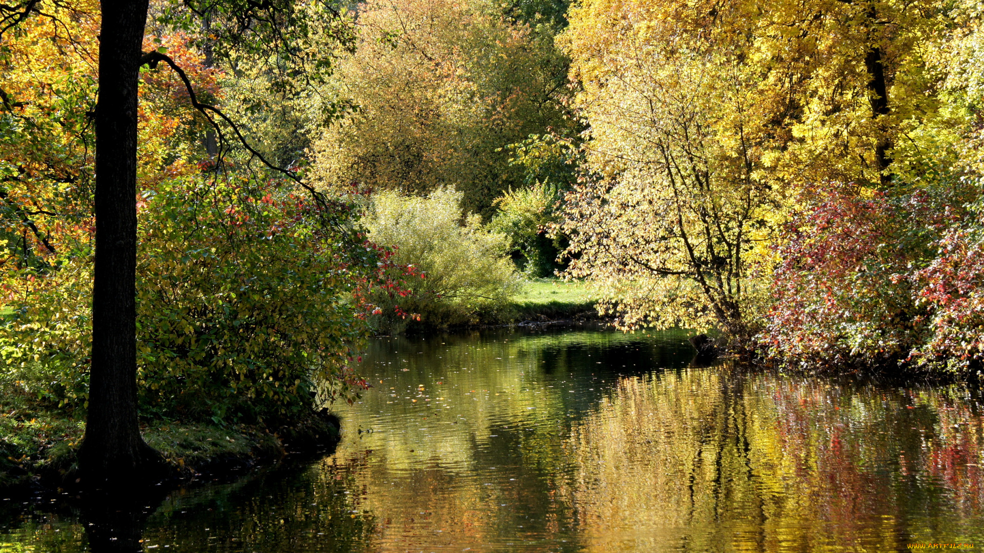 санкт, петербург, парк, природа, реки, озера, река, деревья