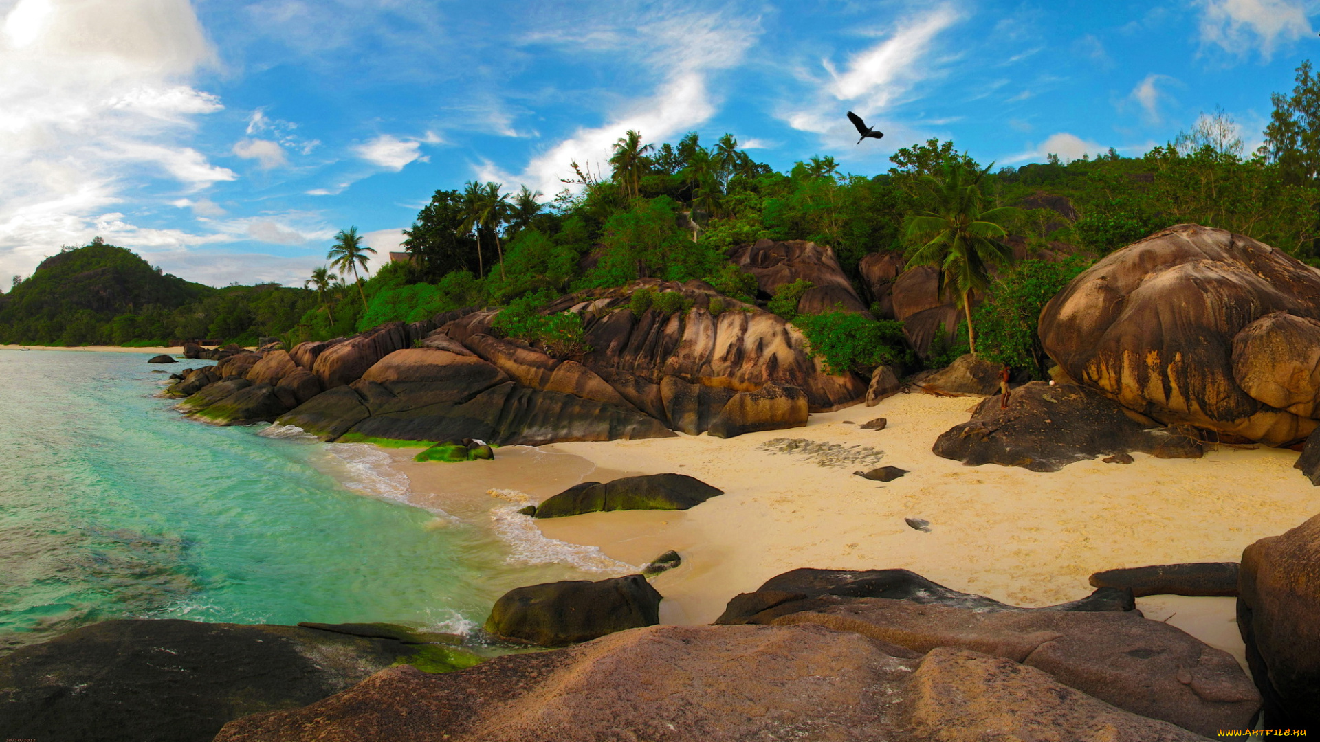 сейшелы, baie, lazare, 3д, графика, nature, landscape, природа, тропики, помидор