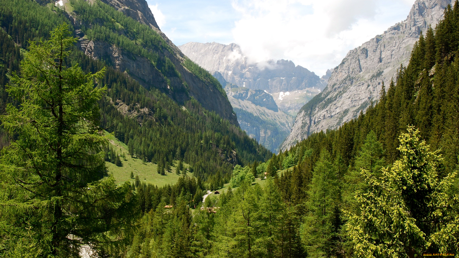 швейцария, кандерштег, природа, горы, деревья, ели