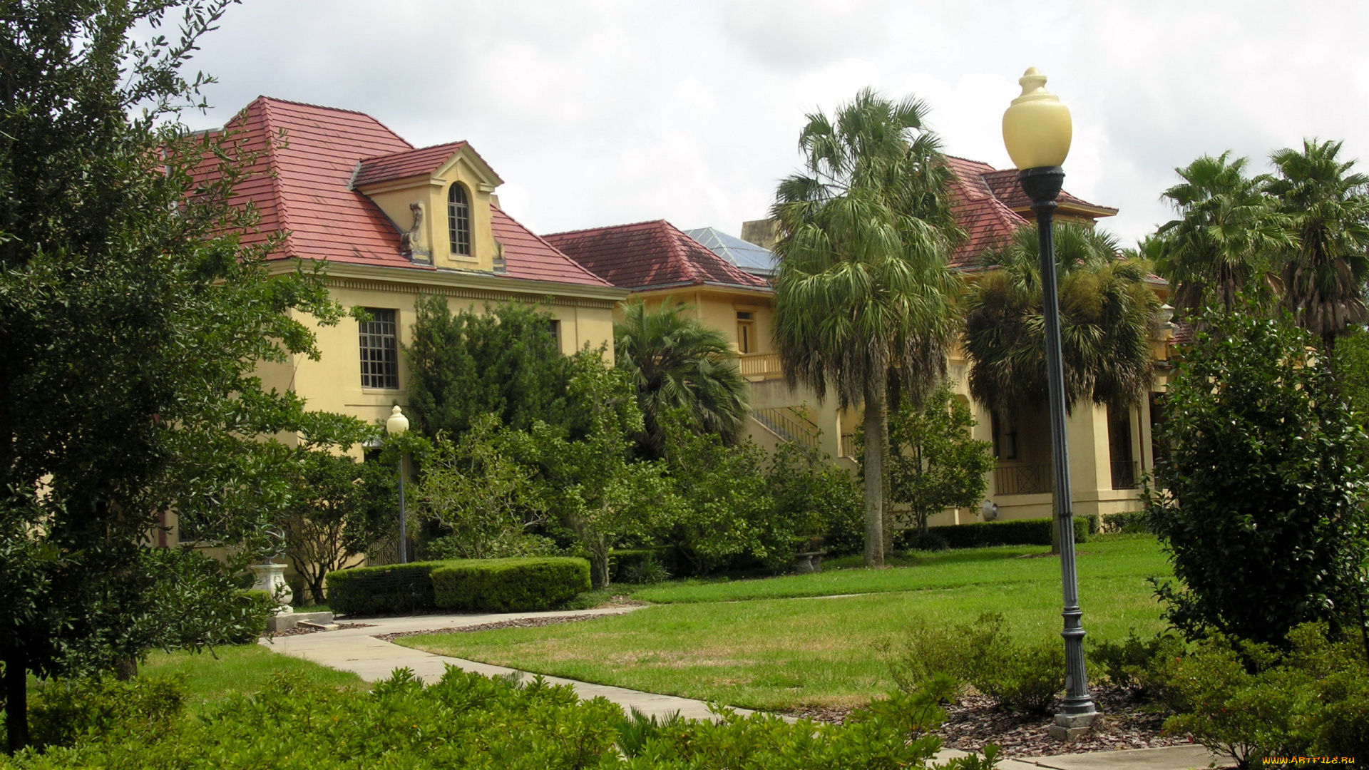 сша, флорида, гейнсвилл, города, здания, дома, улица, кусты, деревья