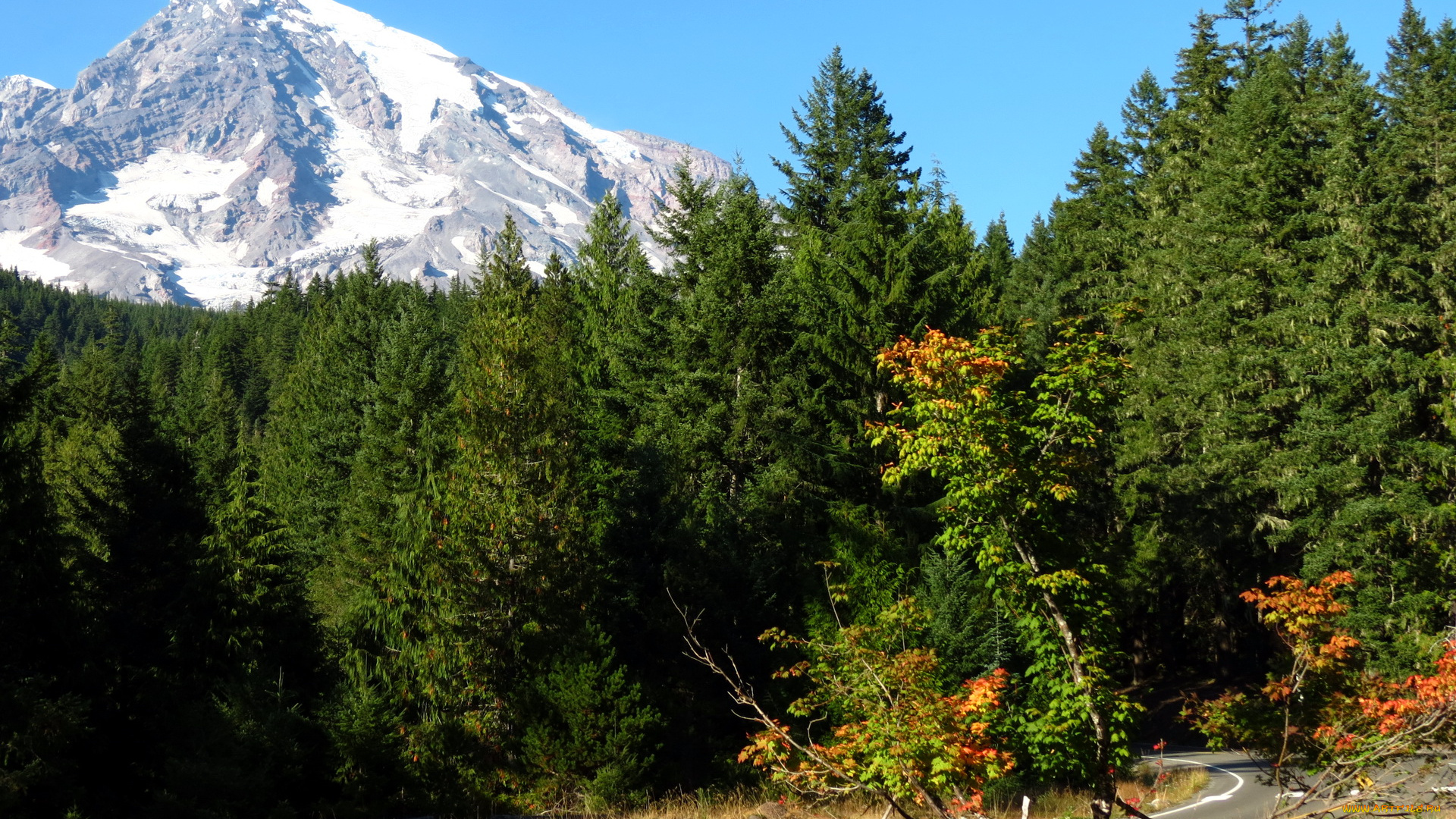 сша, mount, rainier, national, park, природа, лес, горы
