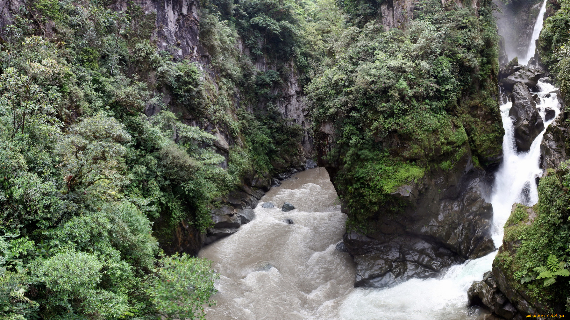 водопад, pailondel, diablo, эквадор, природа, водопады, лес