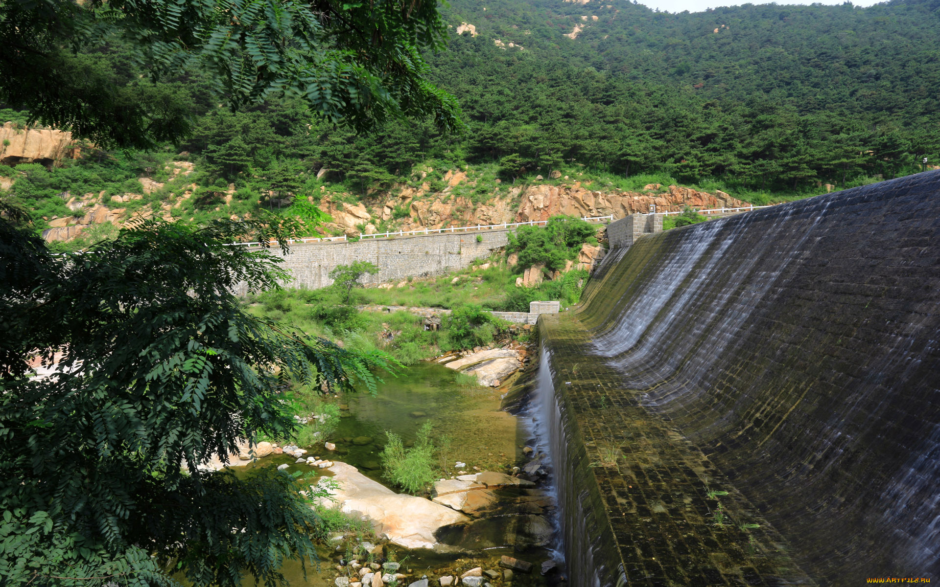 природа, реки, озера, дамба, лес, река