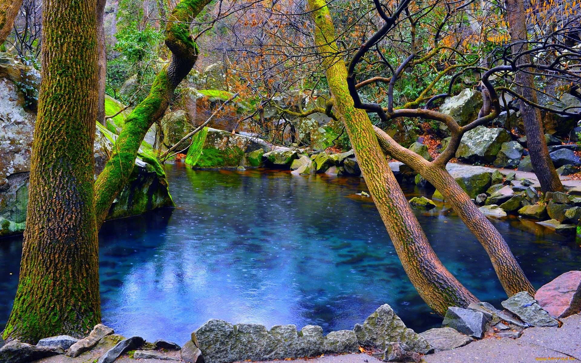 природа, реки, озера, река, лес, камни