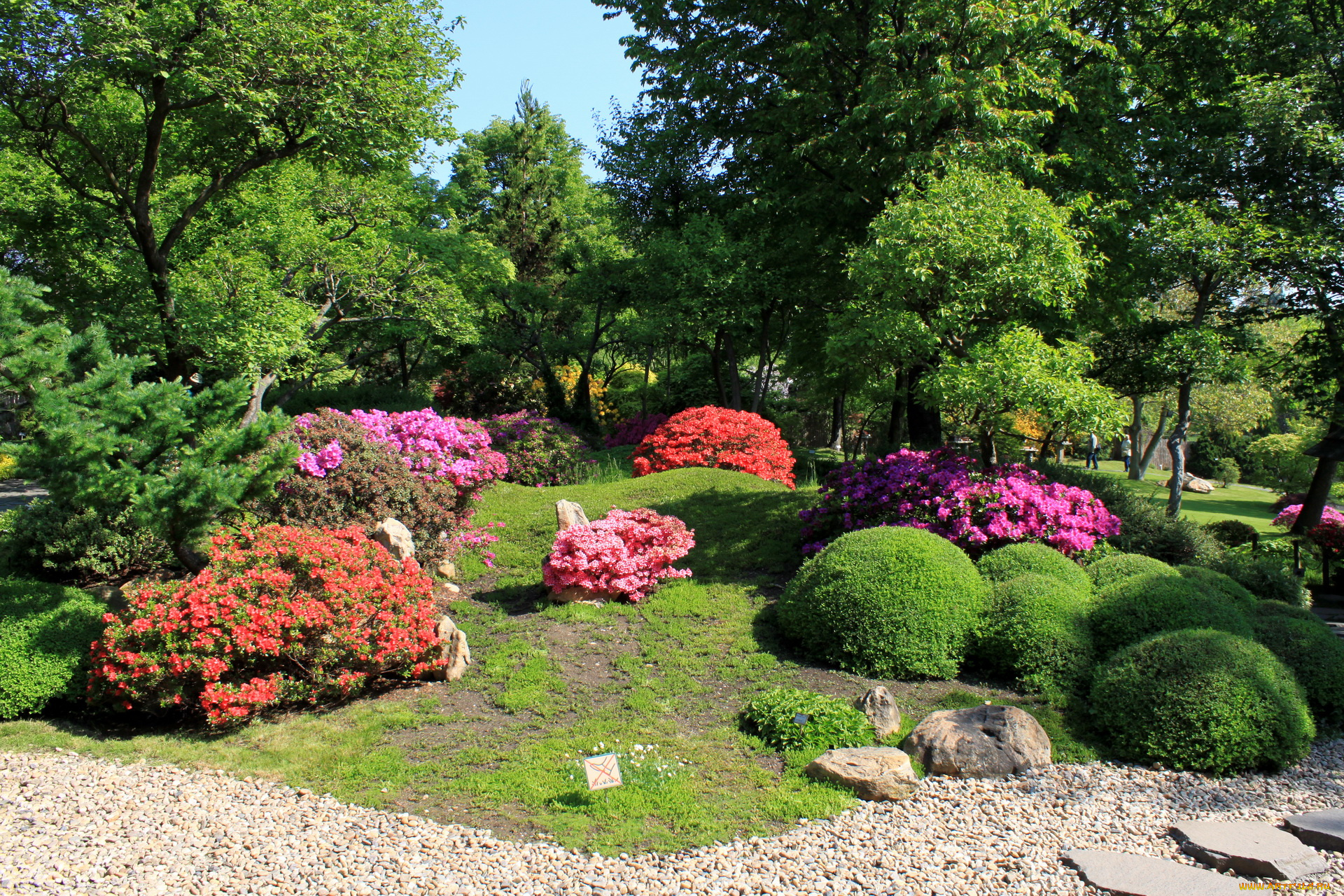 Чехия, прага, ботанический, сад, природа, парк