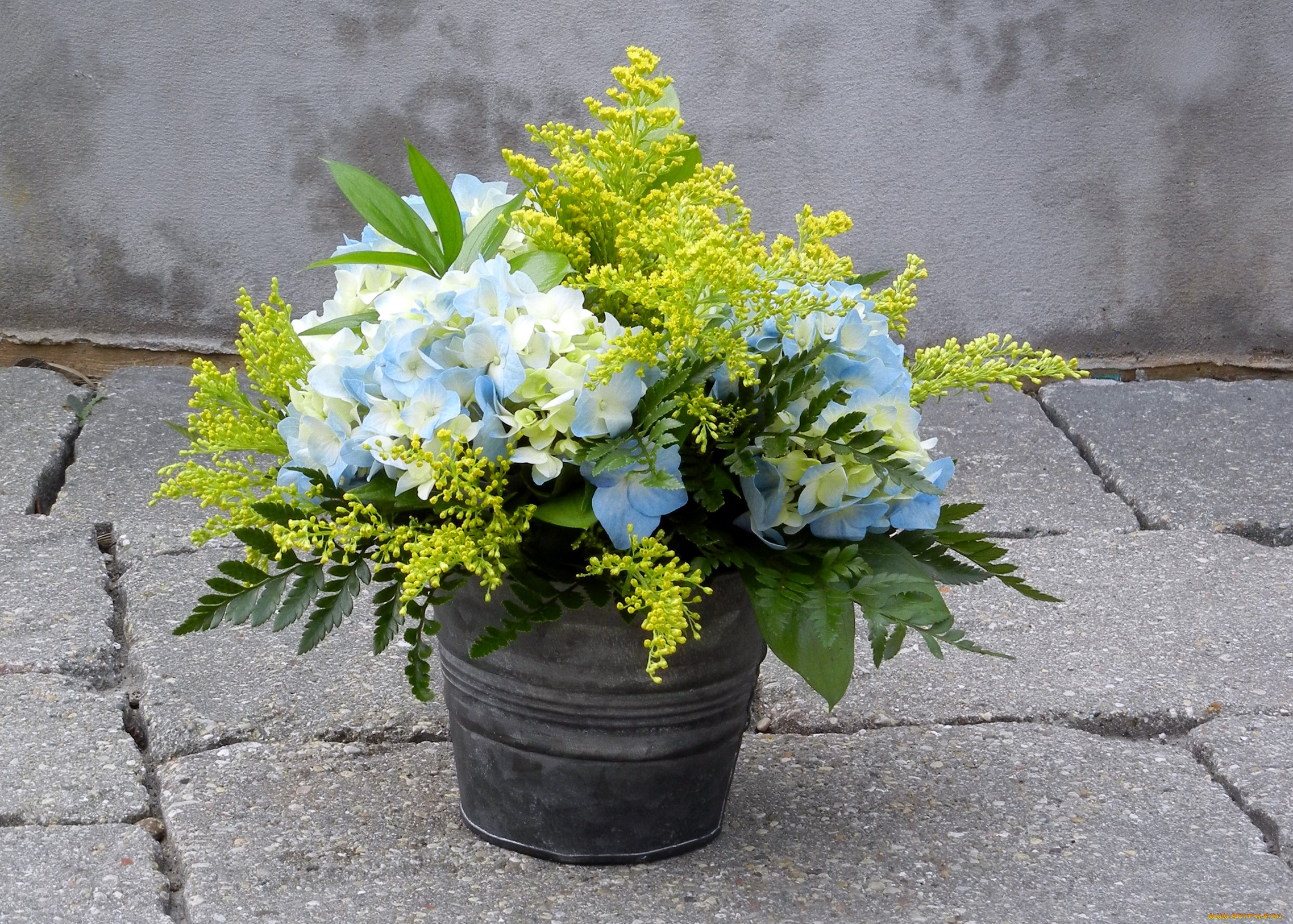 цветы, букеты, композиции, мимозы, букет