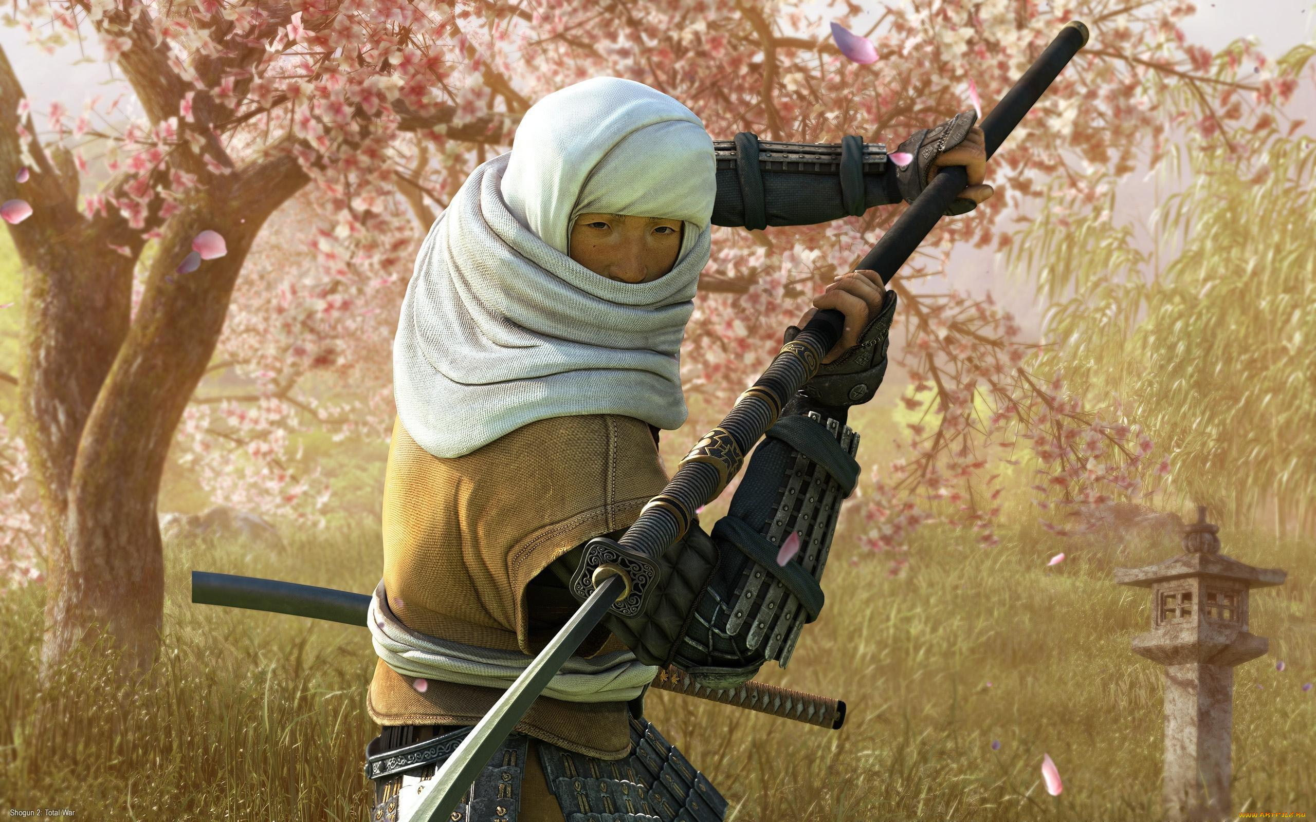 shogun, total, war, видео, игры, ii, 2