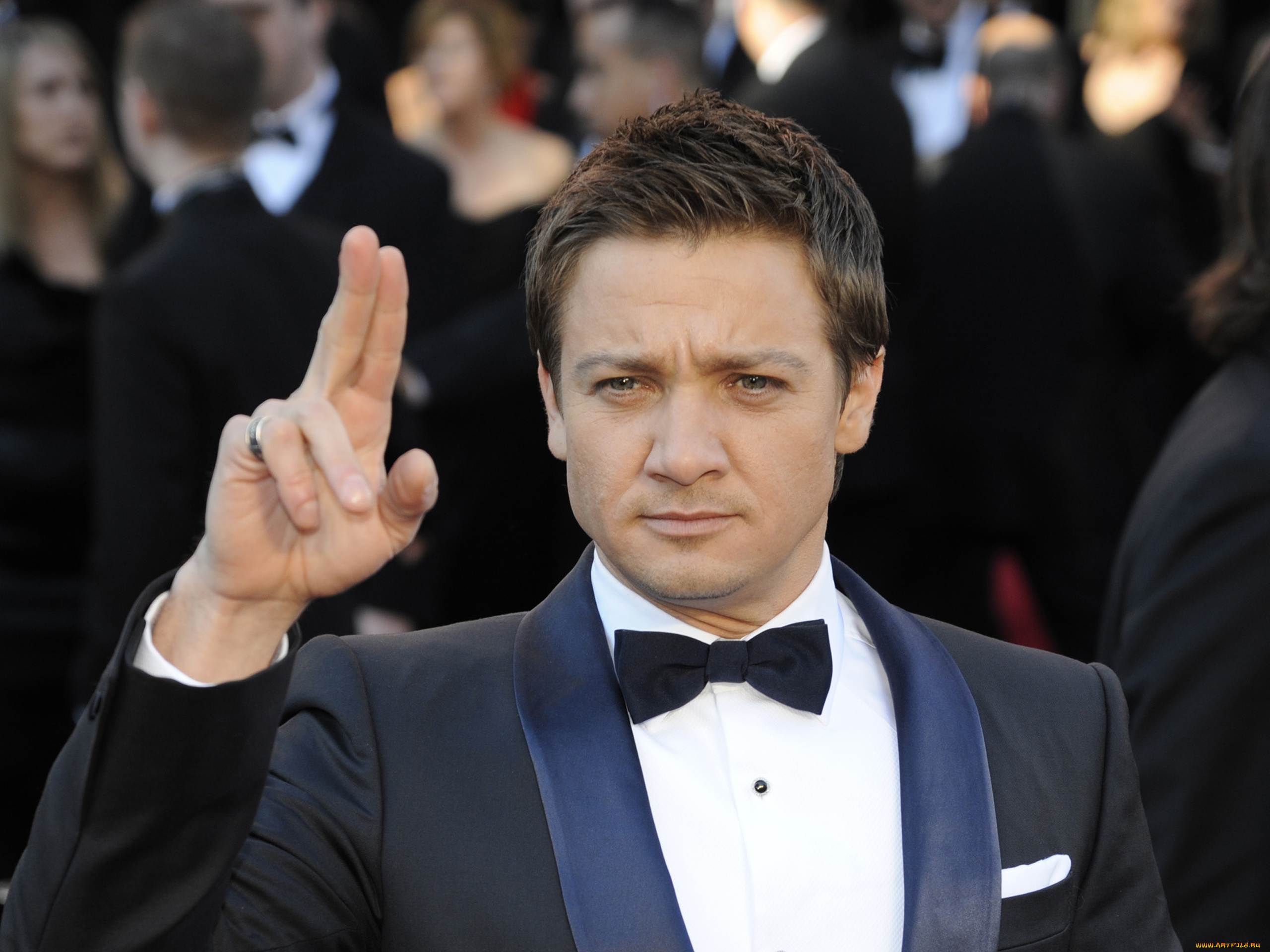 jeremy, renner, мужчины, киноактер, джереми, реннер