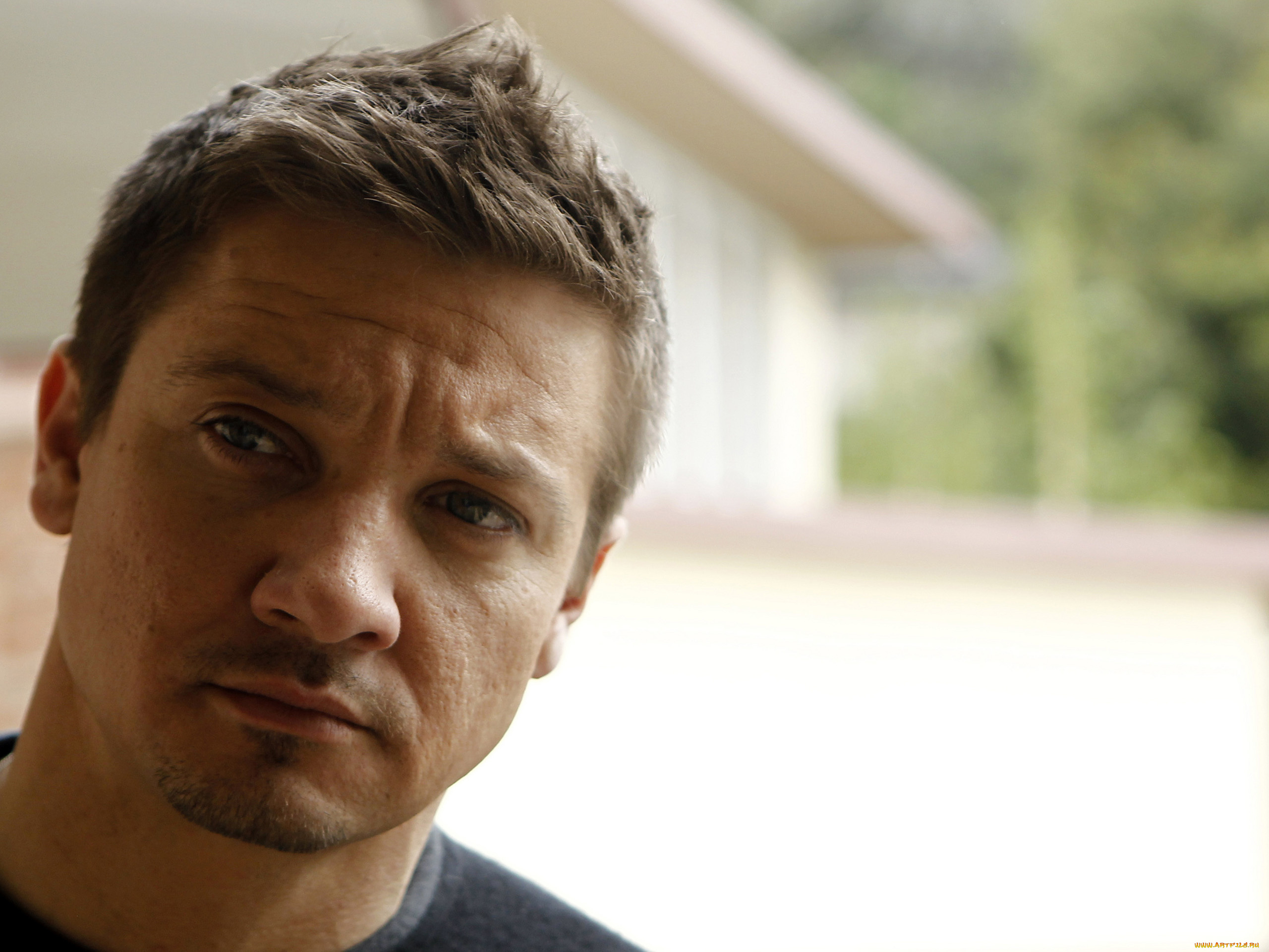 jeremy, renner, мужчины, киноактер, джереми, реннер