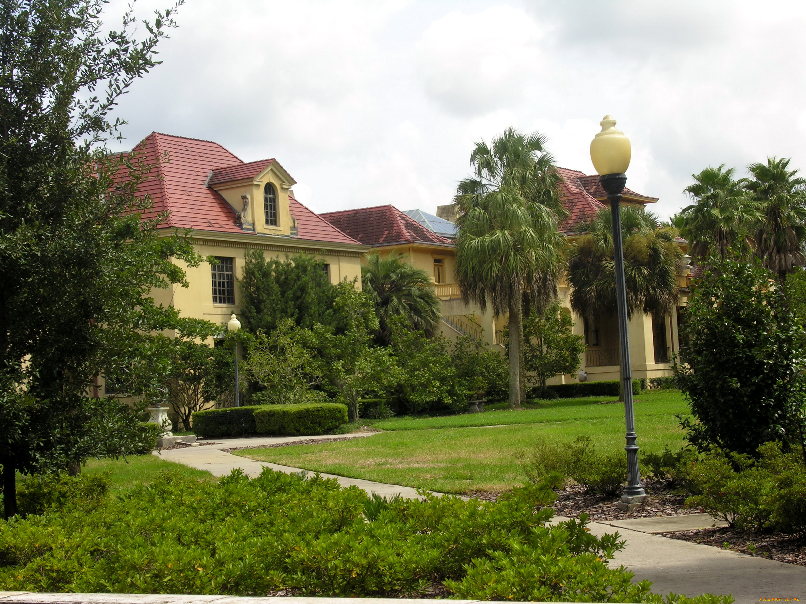 сша, флорида, гейнсвилл, города, здания, дома, улица, кусты, деревья