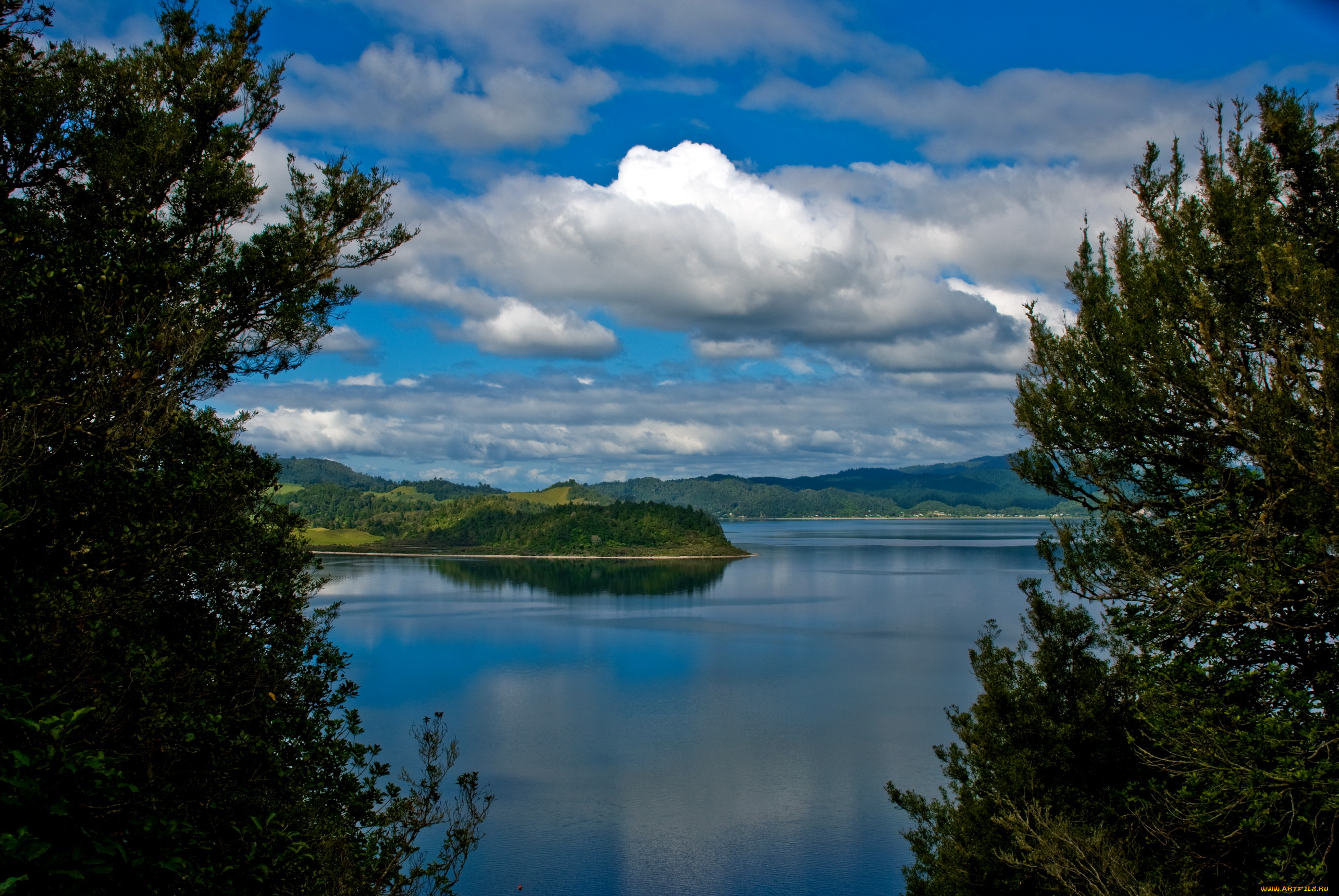 lake, rotoma, new, zealand, rotorua, природа, реки, озера, озеро
