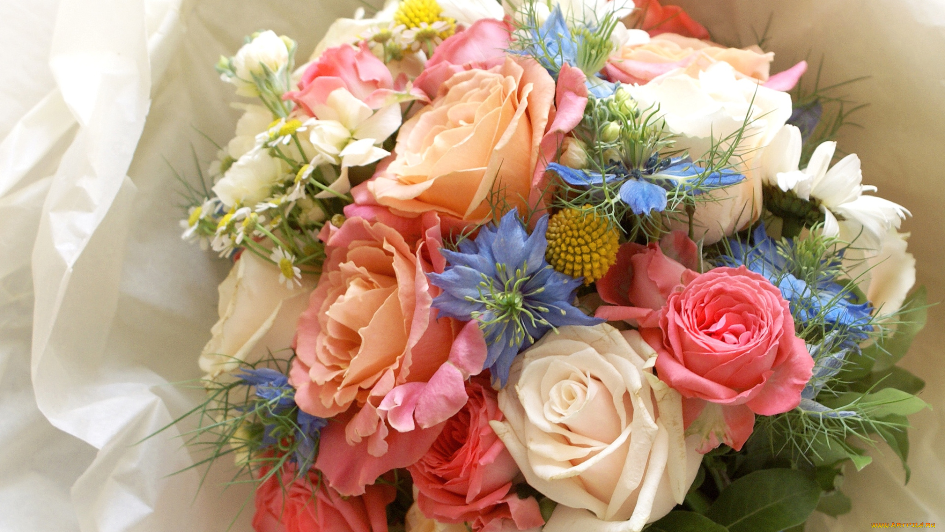 цветы, букеты, композиции, роза, нигелла, ромашка