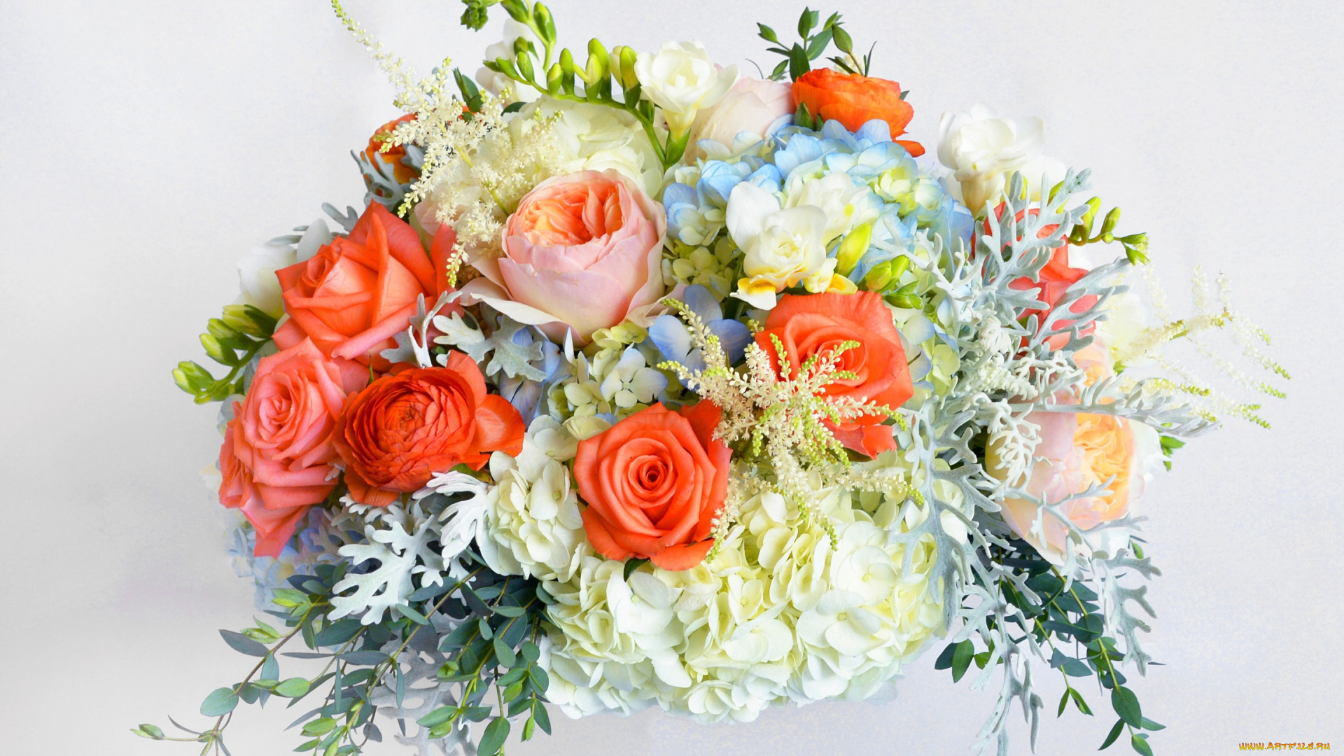 цветы, букеты, , композиции, букет, розы, фрезия, гортензия, freesia, hydrangea, flowers, bouquet, rose