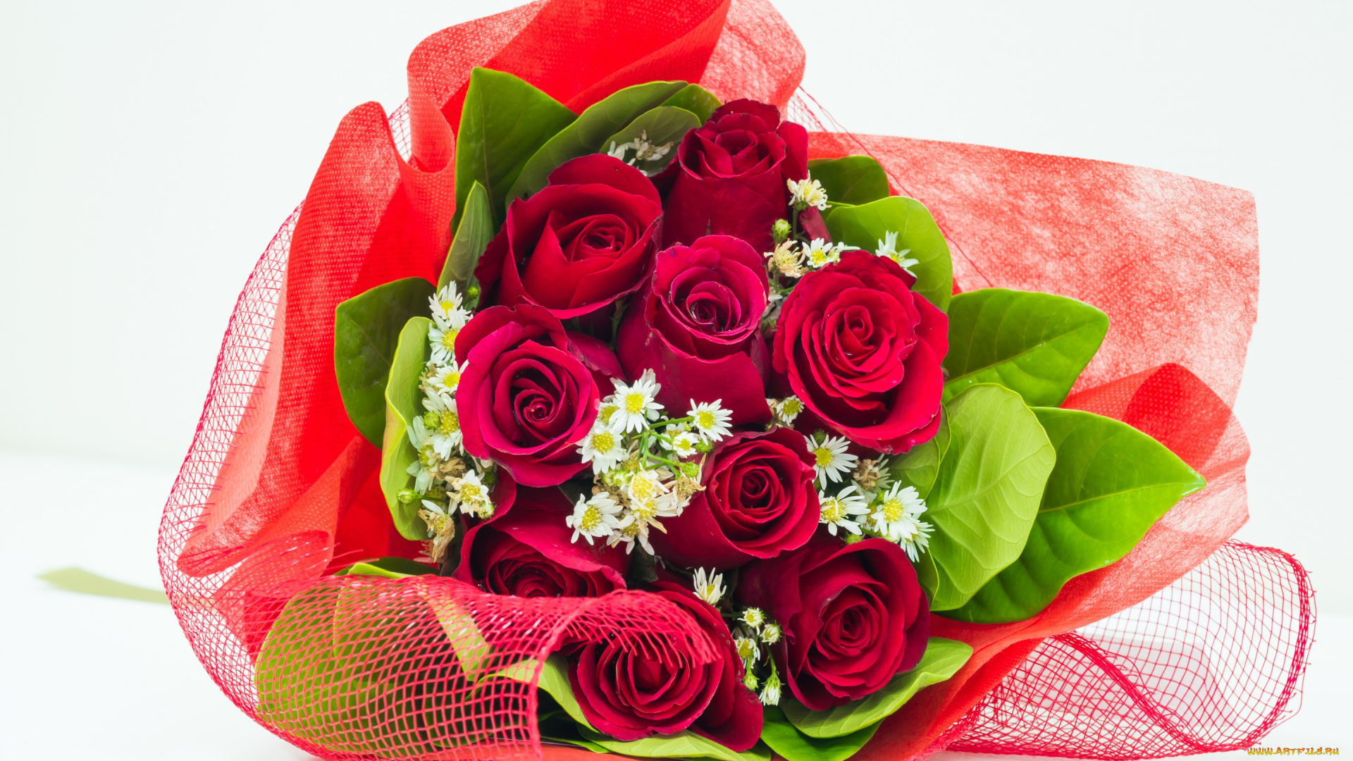 цветы, букеты, , композиции, романтика, красные, розы, букет, beauty, pretty, lovely, nice, cool, beautiful, red, roses, bouquet, rose, flowers, flower, romantic, romance, for, you, i, love
