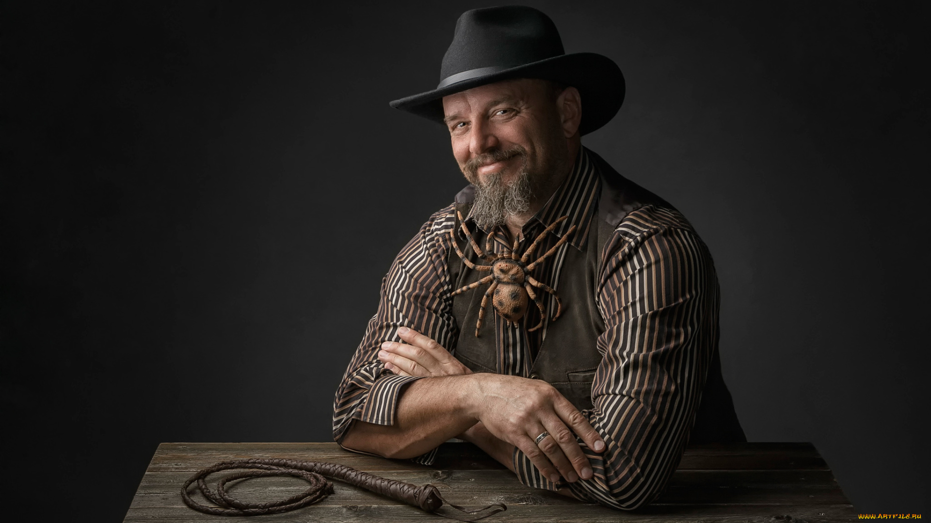 мужчины, -, unsort, паук, борода