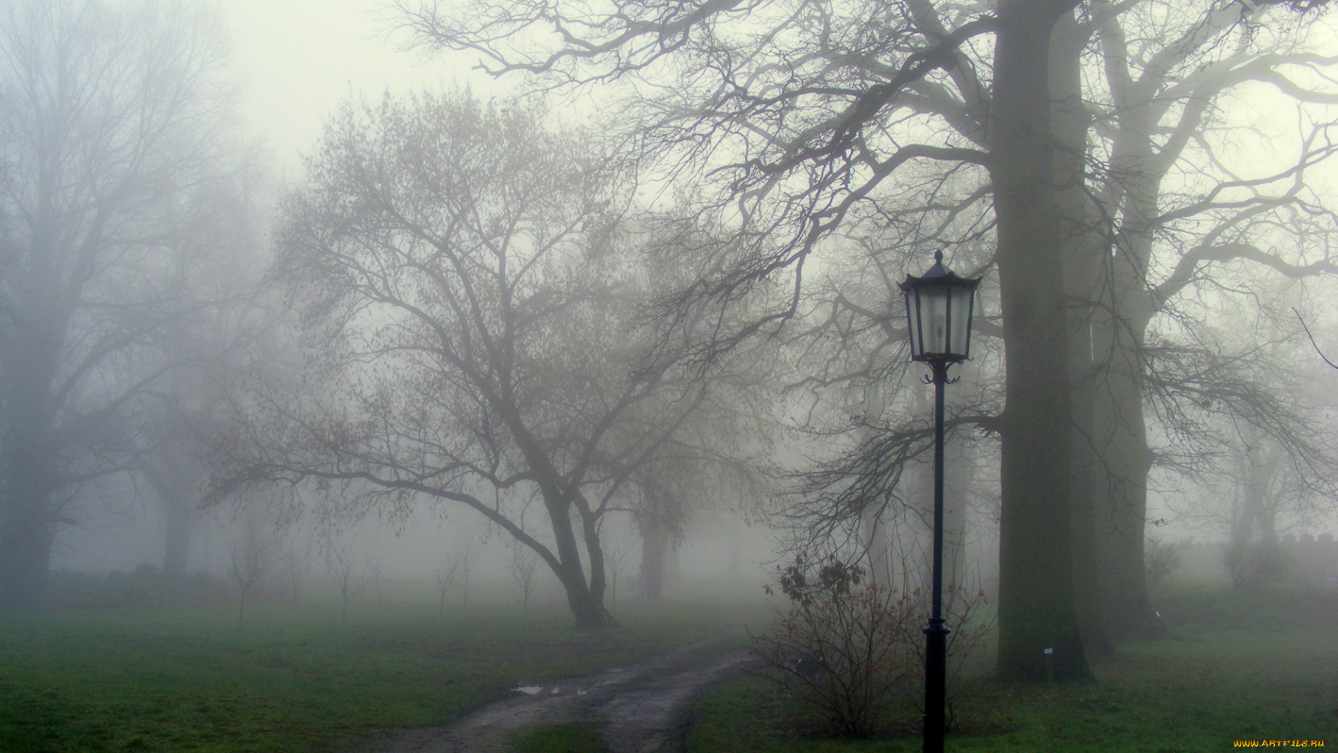 разное, осветительные, приборы, дорожка, природа, фонарь, деревья, туман, трава