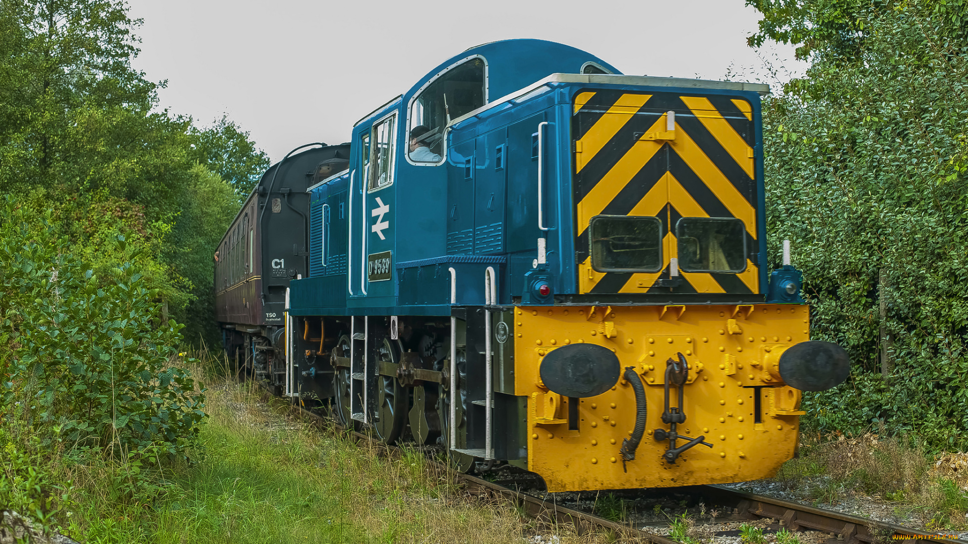 техника, поезда, железная, дорога, локомотив, состав