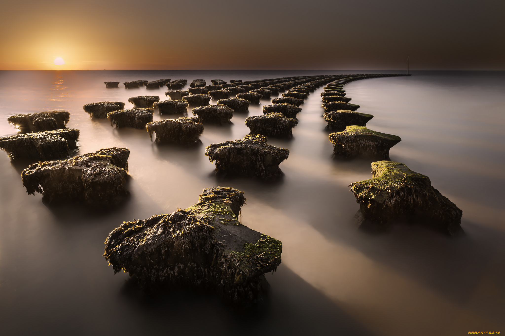 природа, побережье, вода, солнце, закат, небо