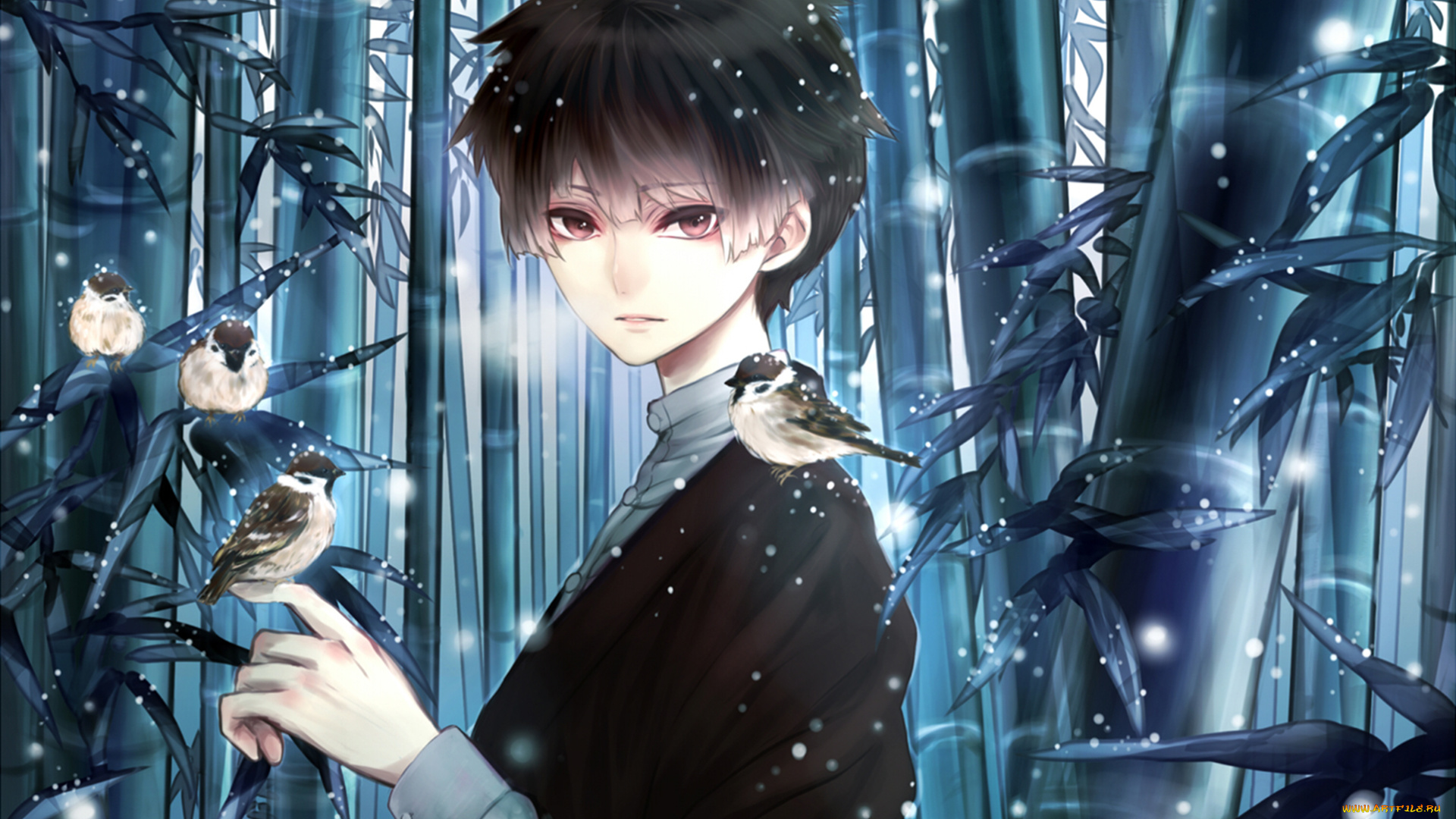 аниме, unknown, , другое, снег, птицы, бамбук, девушка
