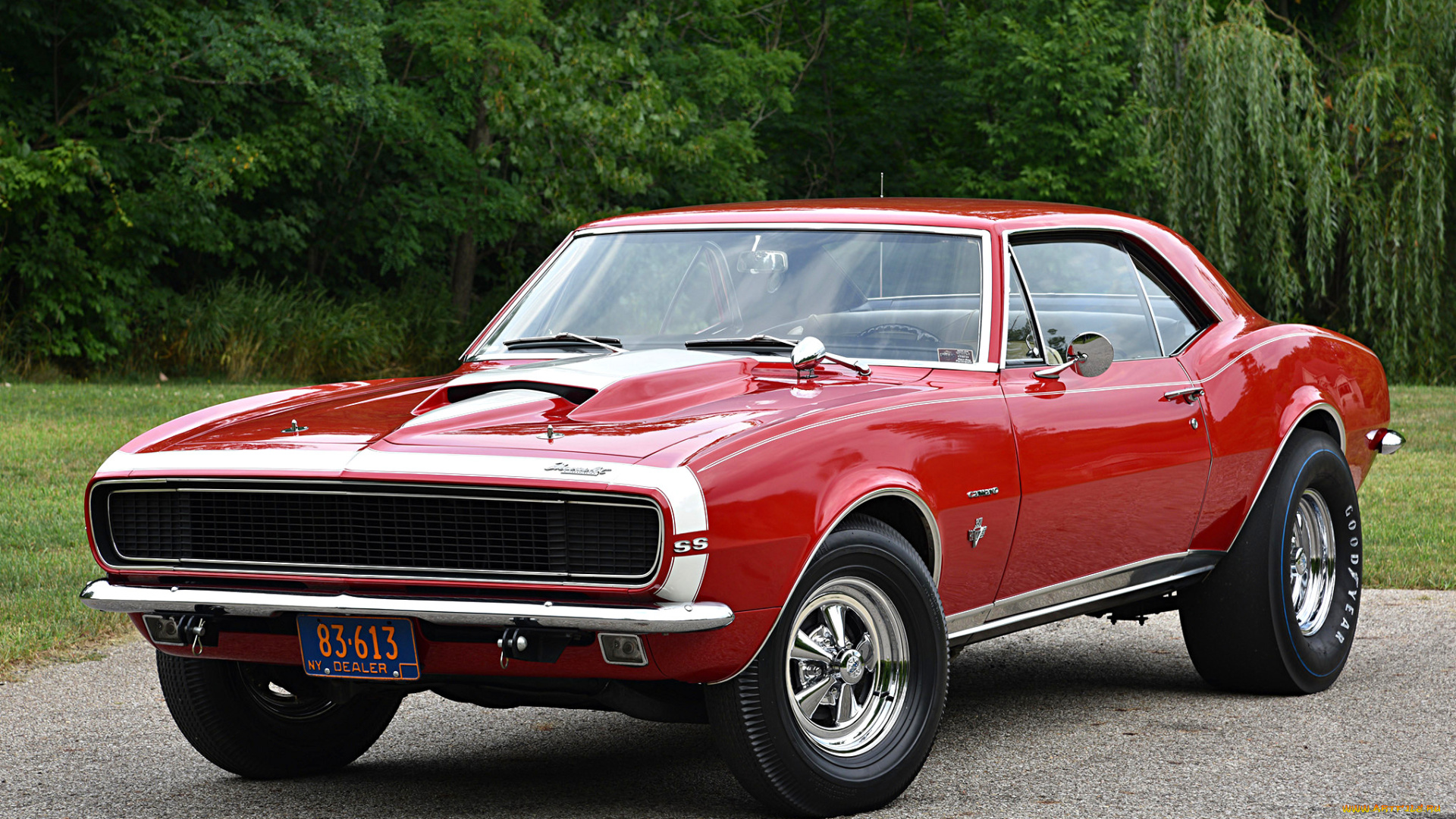 автомобили, camaro