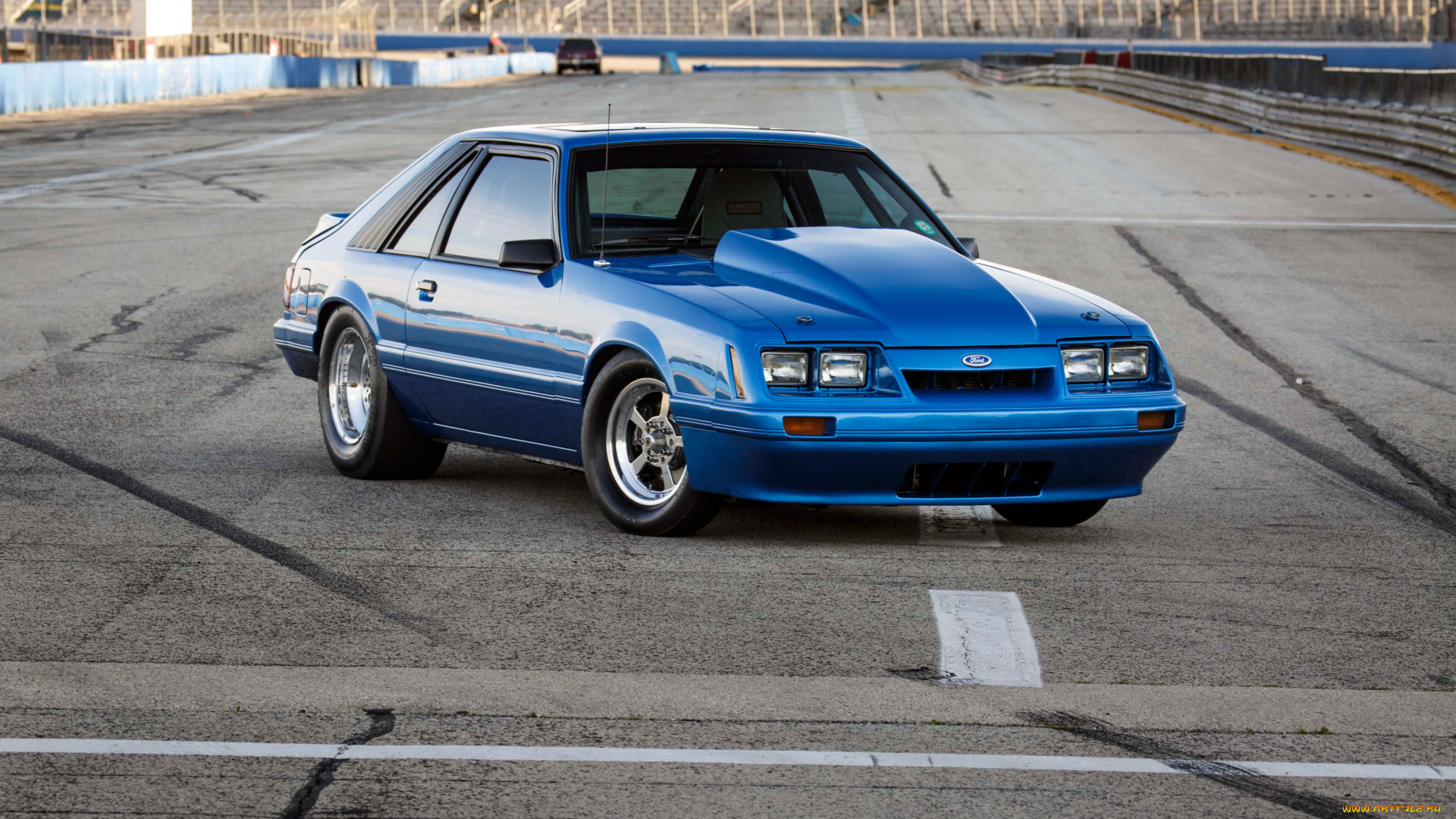 автомобили, mustang