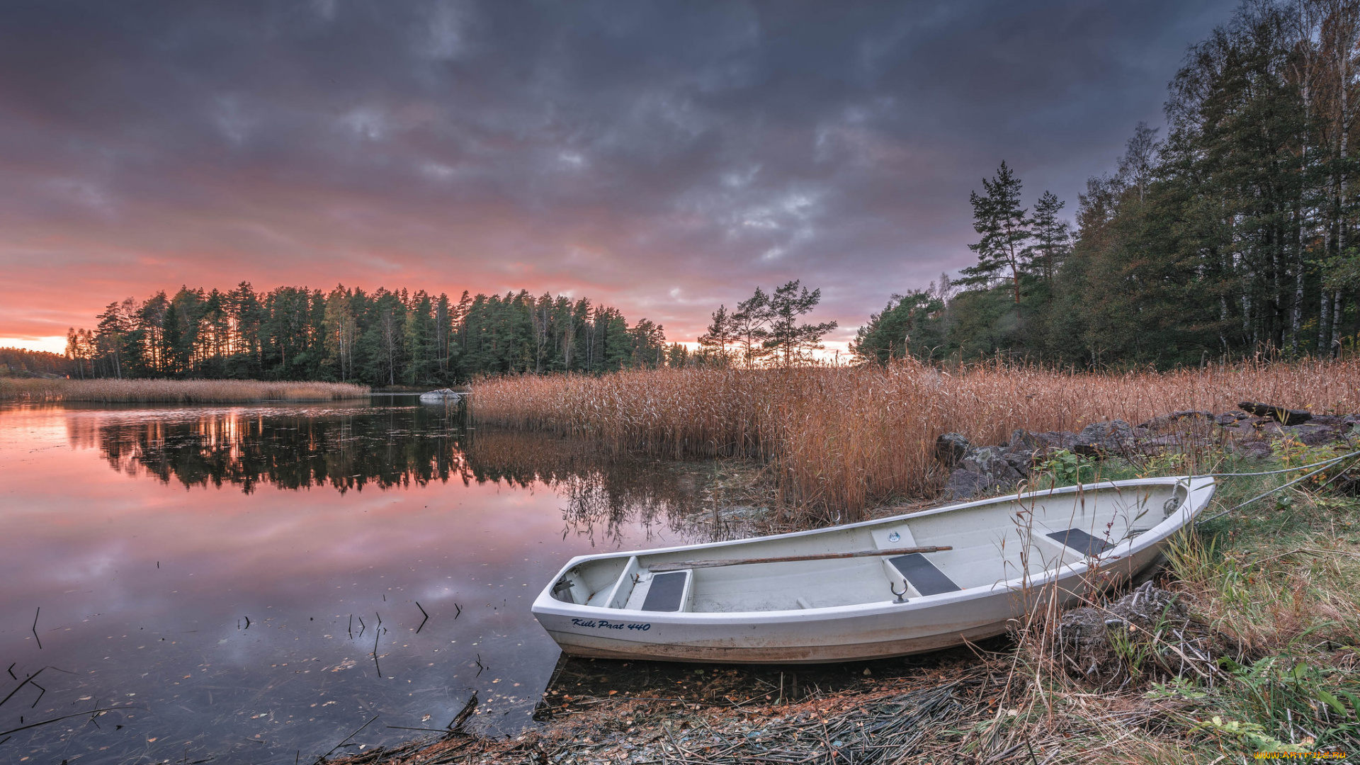 корабли, лодки, , шлюпки, река, лес