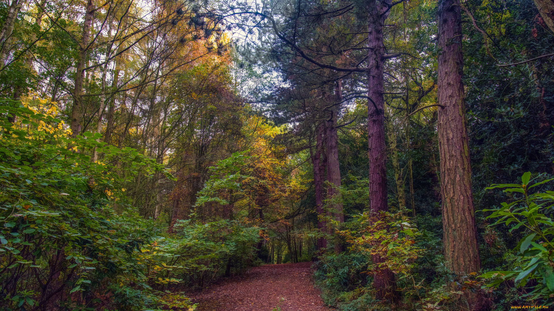 природа, дороги, тракт