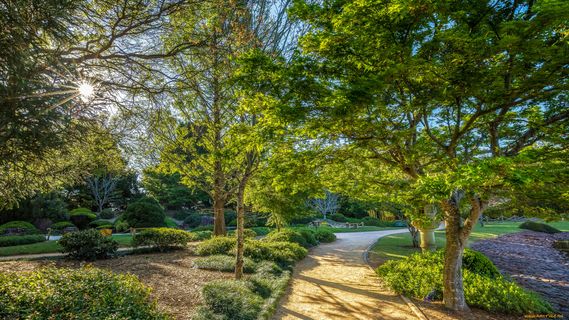 природа, парк, аллея