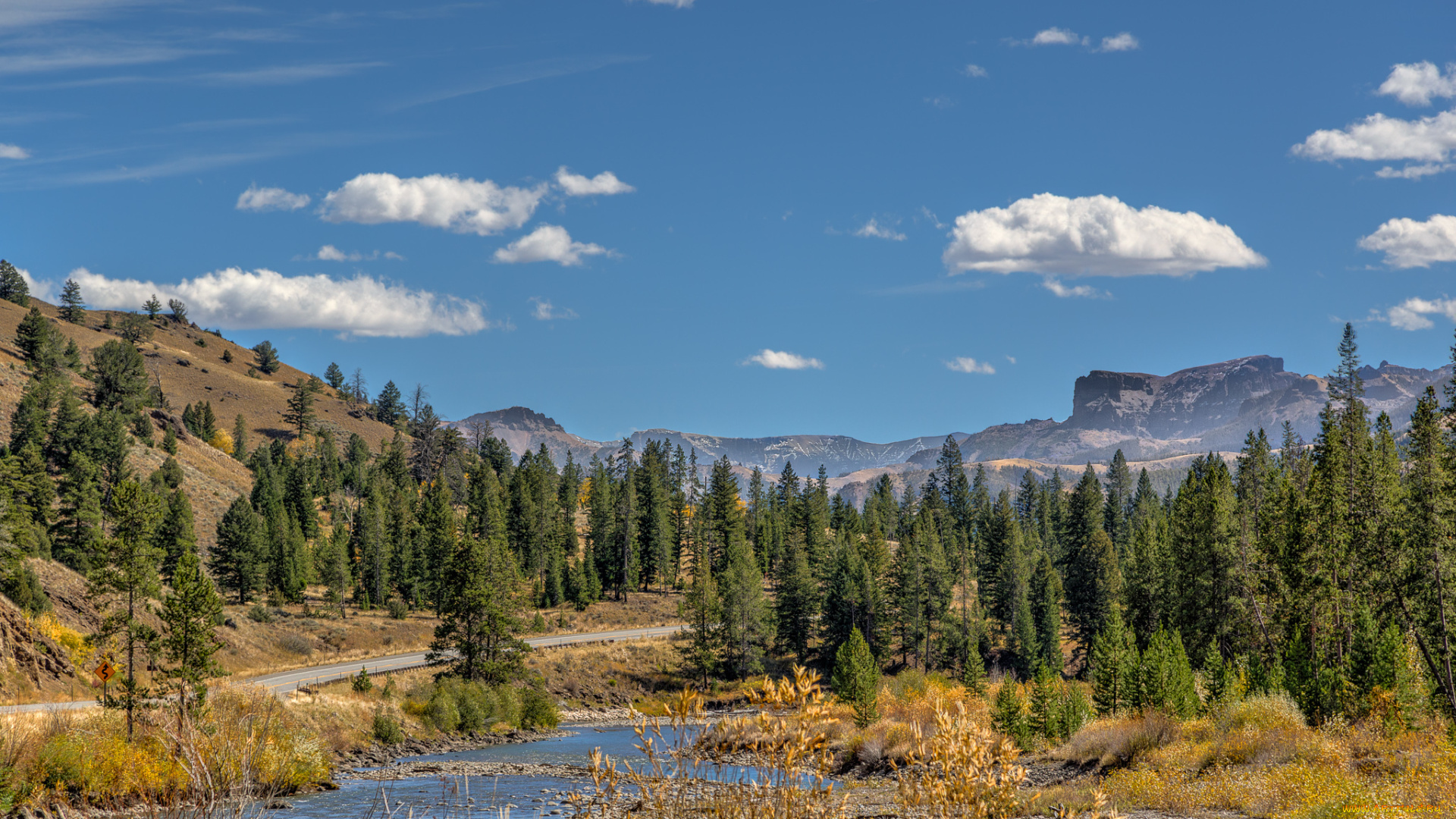 природа, реки, озера, лес, река