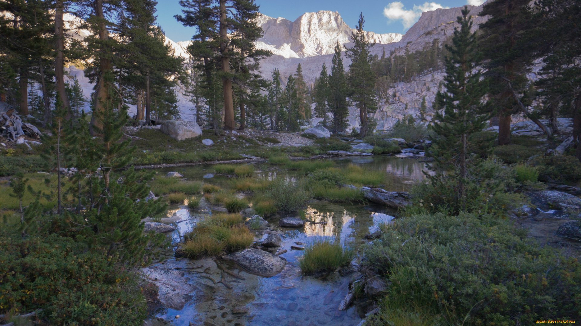 природа, реки, озера, лес, река