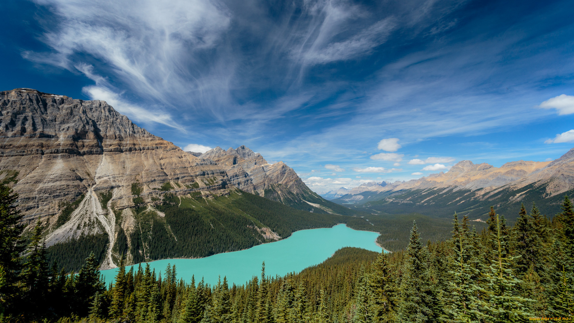 природа, реки, озера, лес, река