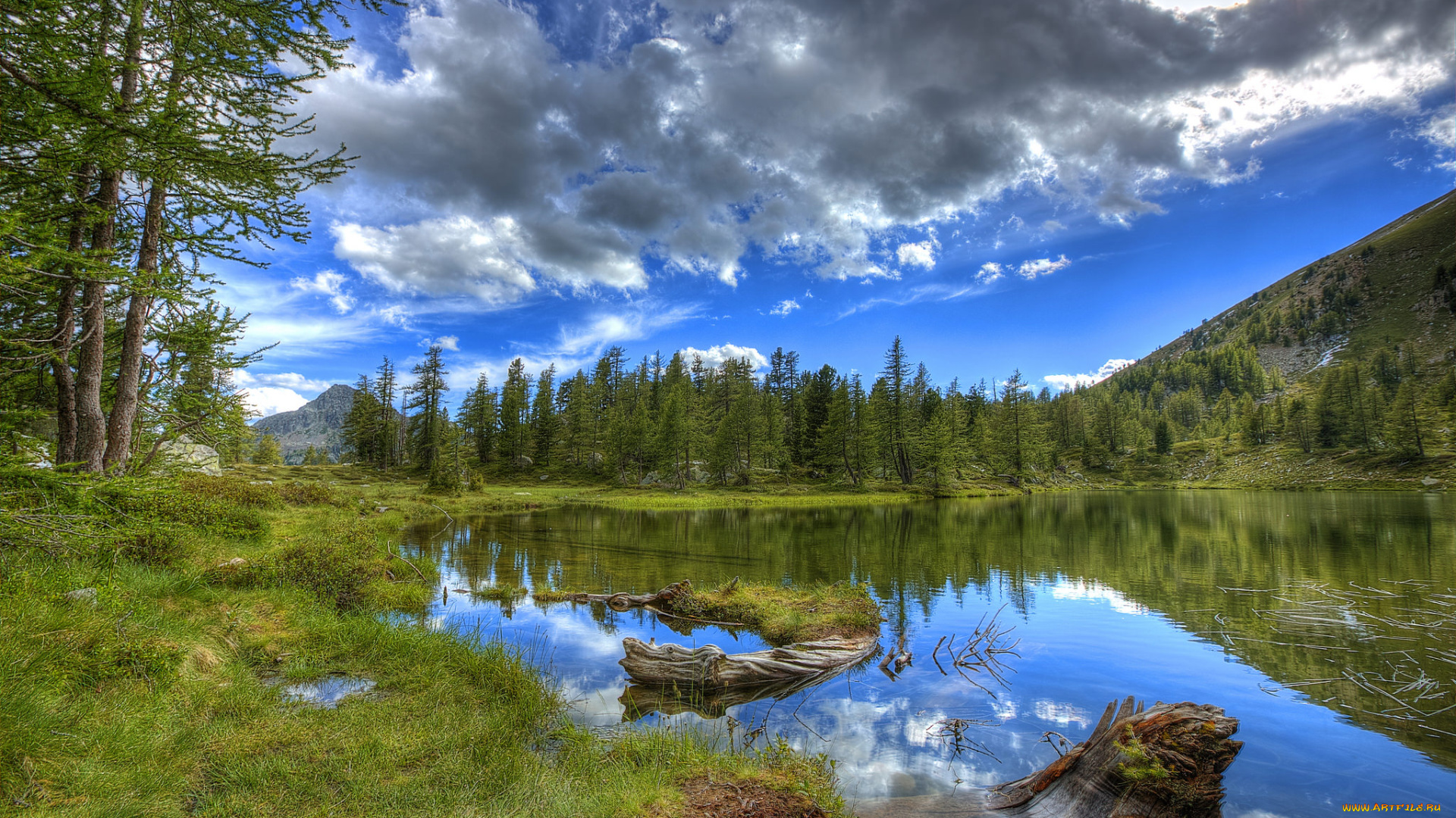 природа, реки, озера, лес, река