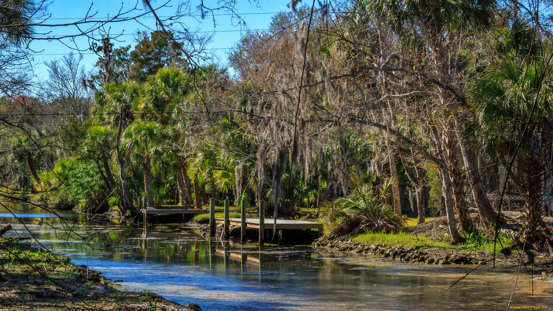 природа, реки, озера, река, лес