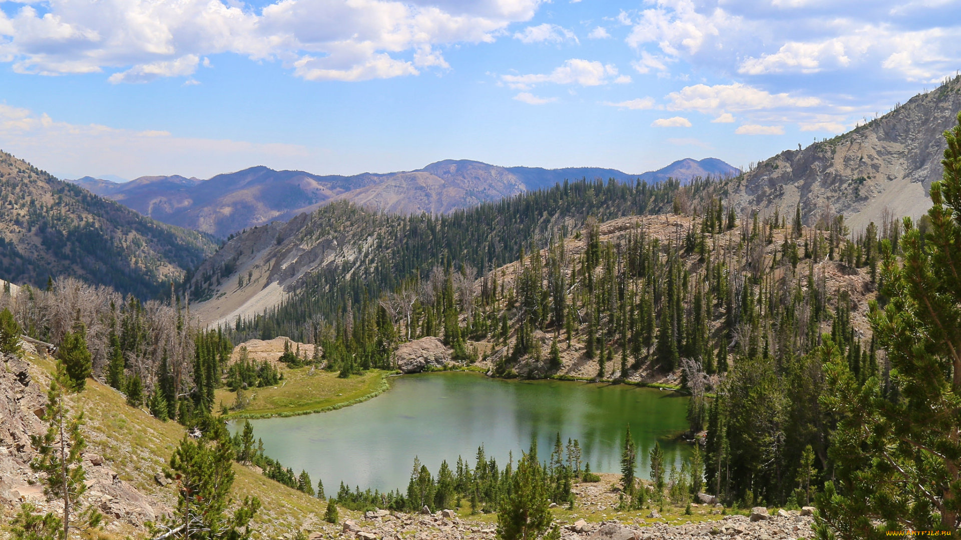 природа, реки, озера, река, лес