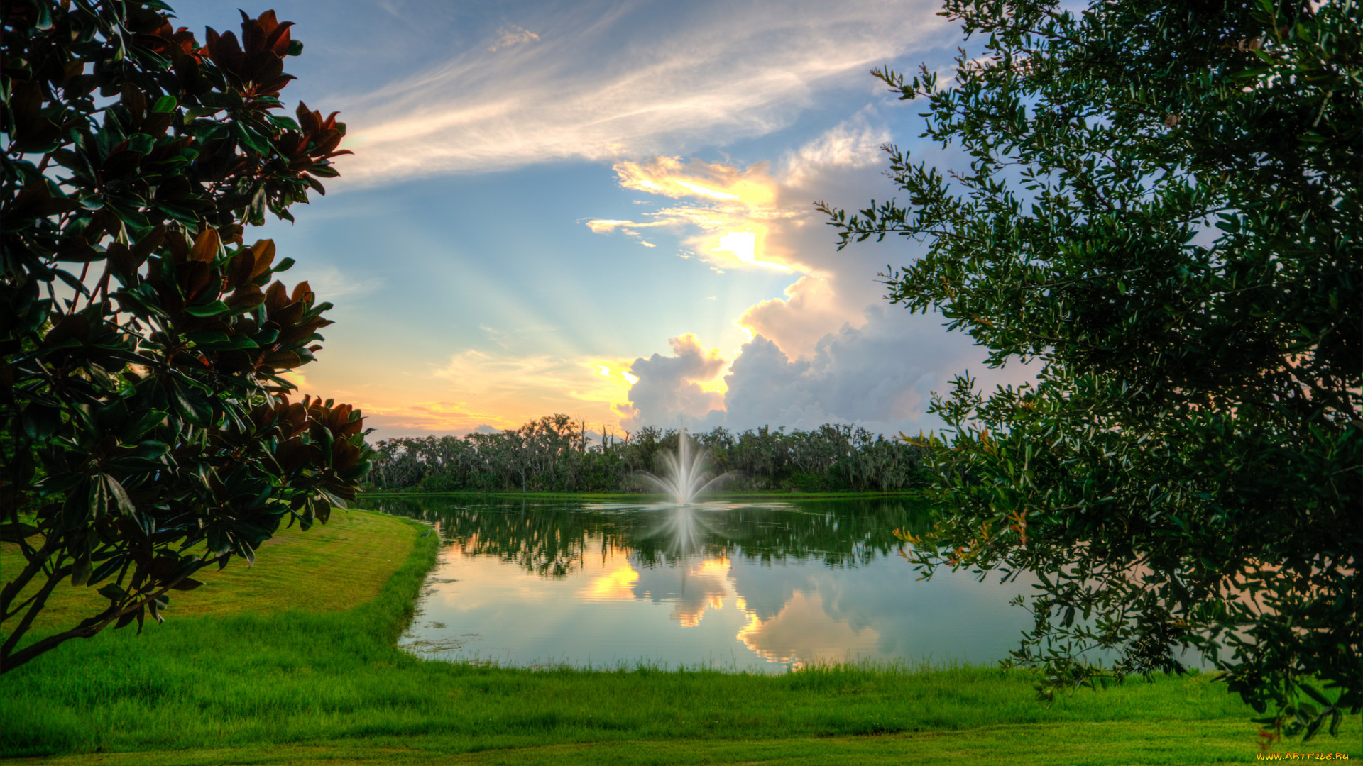 природа, реки, озера, река, лес