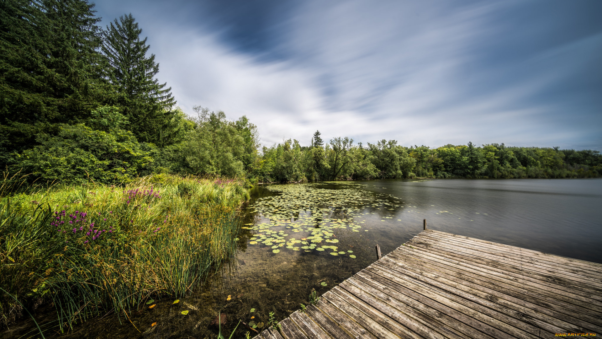 природа, реки, озера, река, лес